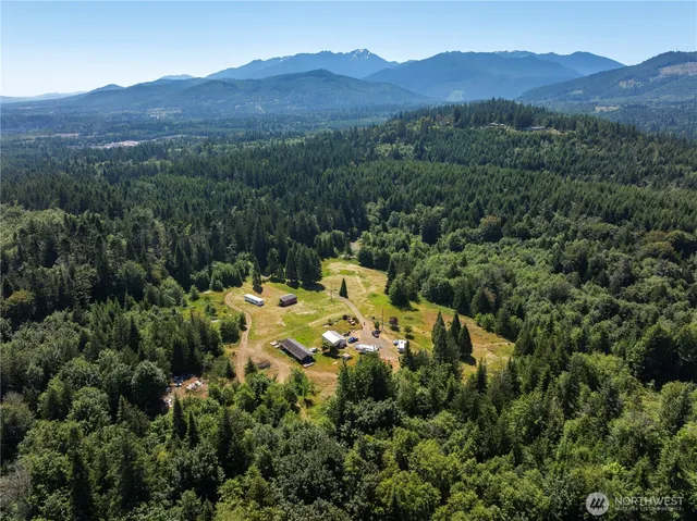 a view of a forest with mountains in the background