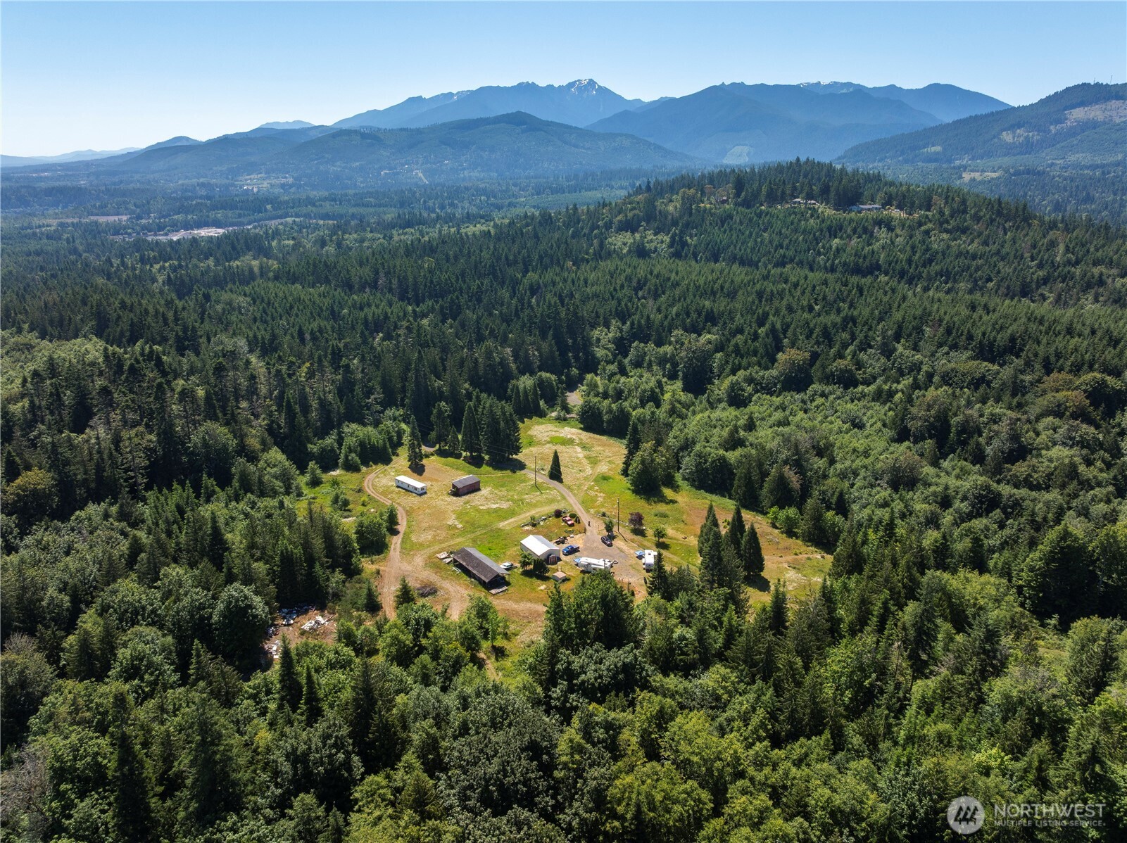 1048 Peters Road Port Angeles, WA 98363 - Photo 7 of 25 a view of a forest with mountains in the background