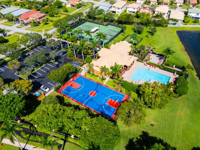 a view of a yard with plants and large trees