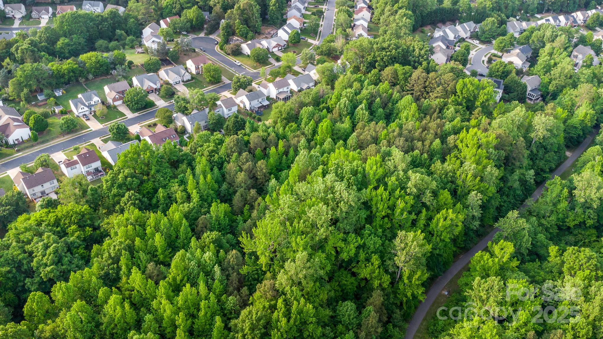 815 Clearbrook Road Matthews, NC 28105 - Photo 45 of 45 a view of a plant