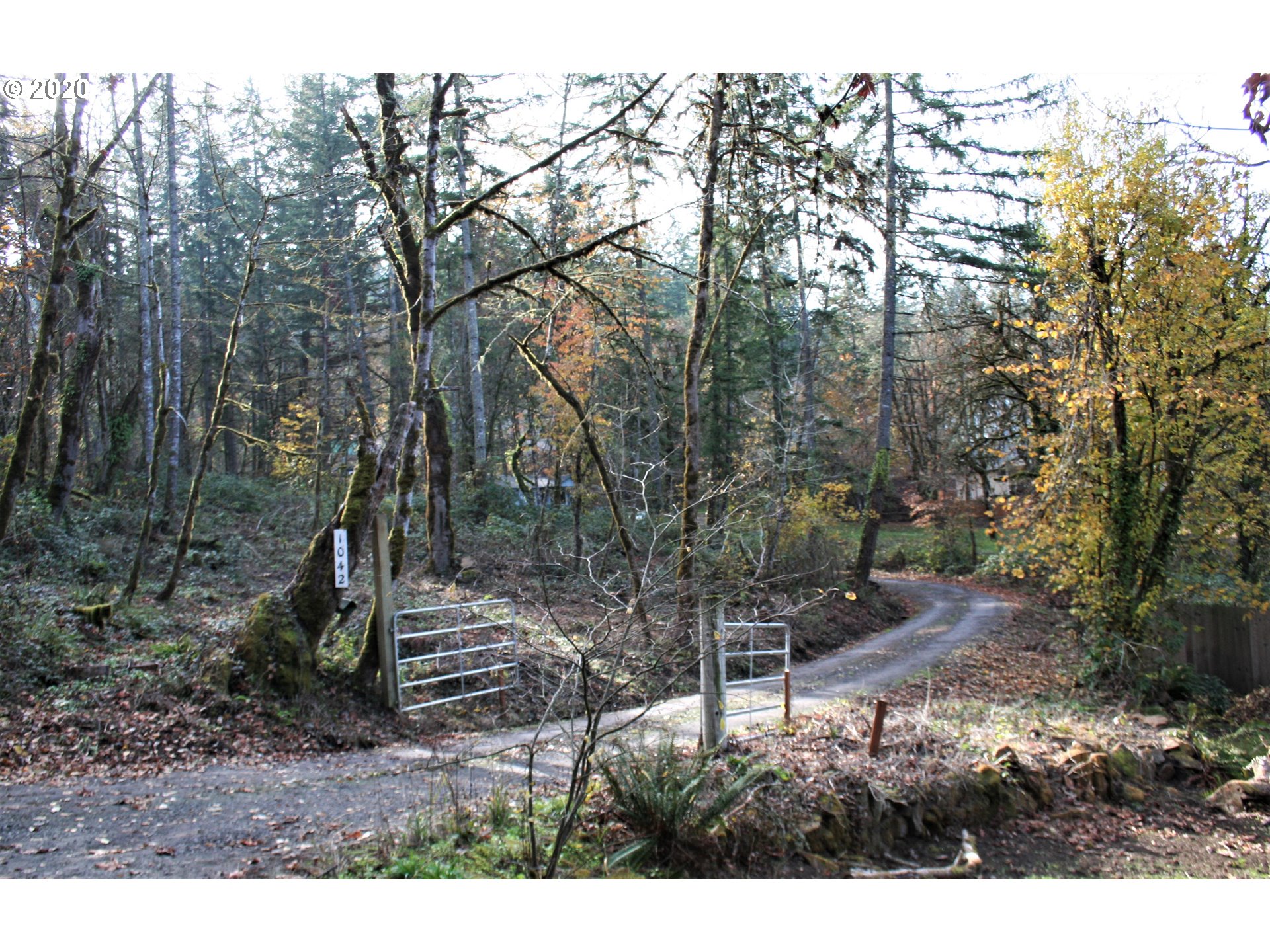 1042 South 70th Street Springfield, OR 97478 - Photo 2 of 18 a backyard of a house with lots of green space