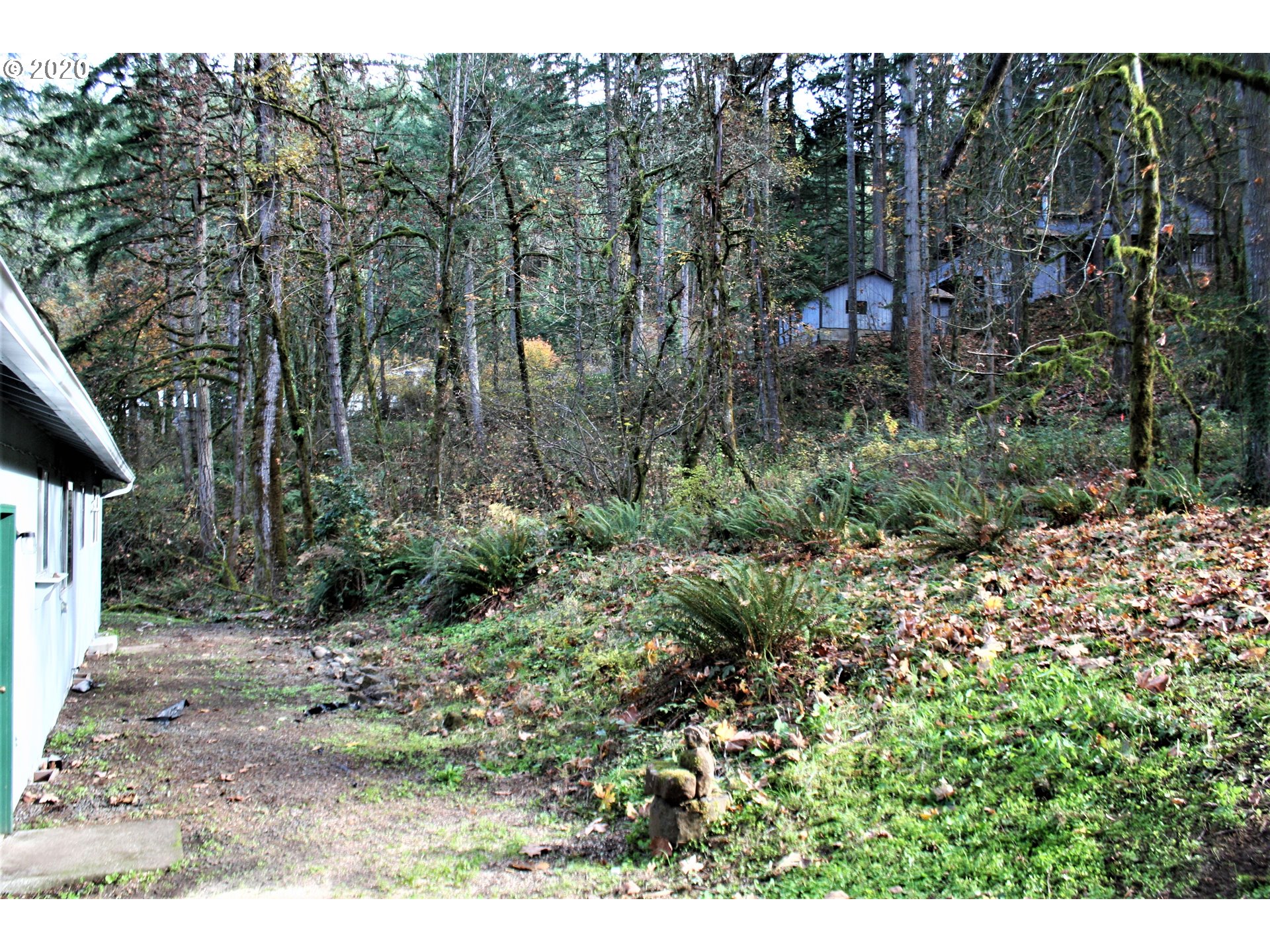 1042 South 70th Street Springfield, OR 97478 - Photo 6 of 18 a view of a yard with plants and large trees