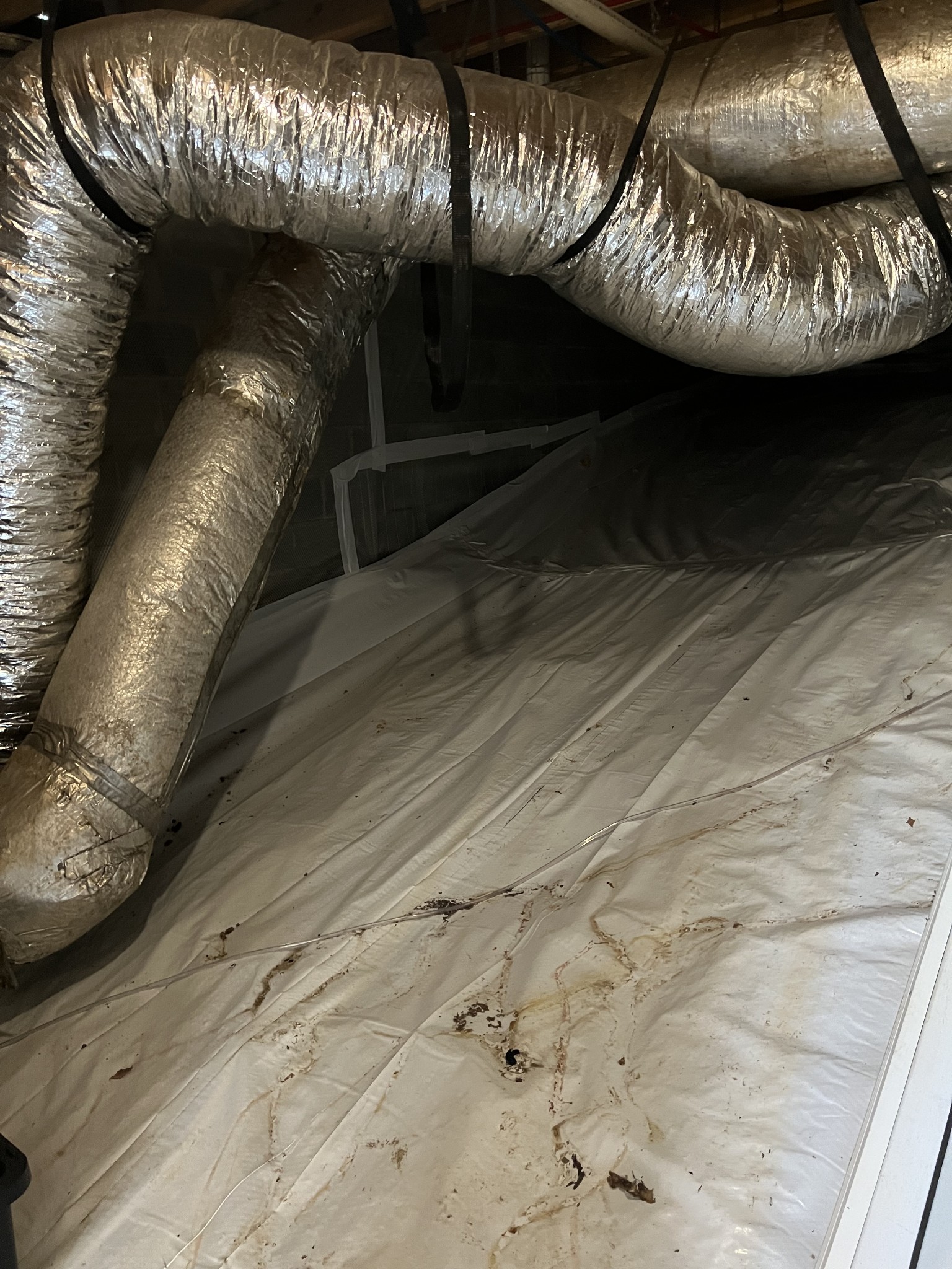 1414 Randy Road Ashland City, TN 37015 - Photo 15 of 16 Encapsulated crawl space