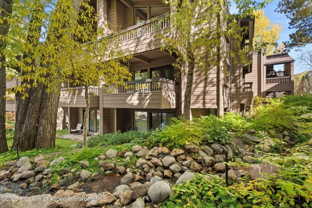 a view of a forest with a tree