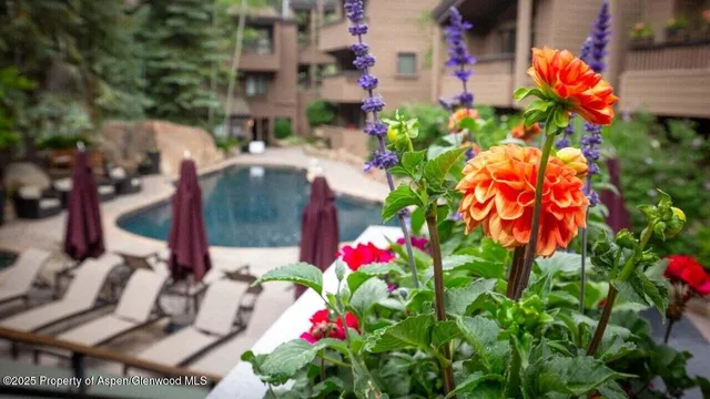 a view of water fountain in front of building