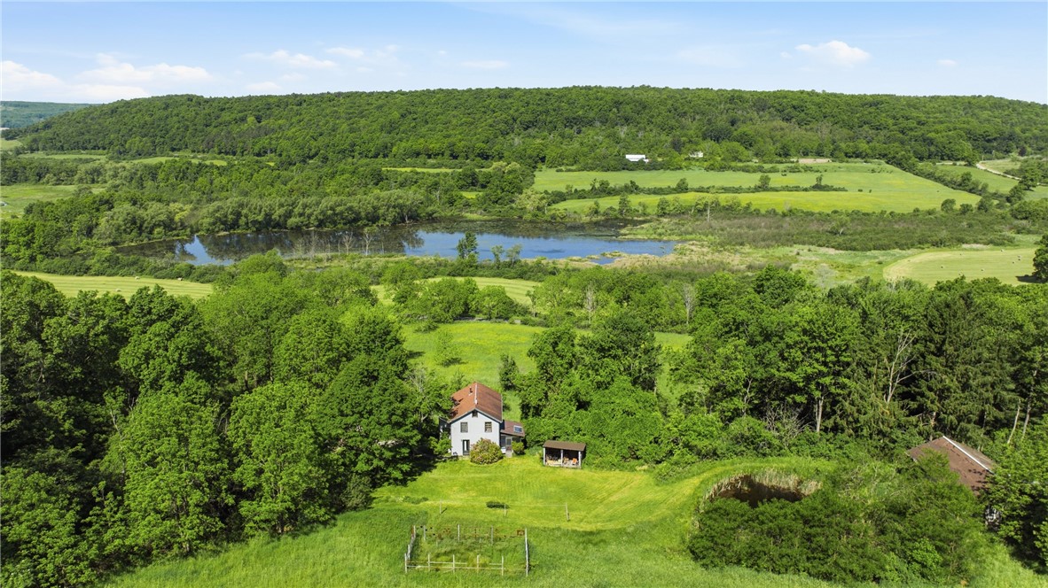 4140 Decamp Road Tyrone, NY 14837 - Photo 48 of 50