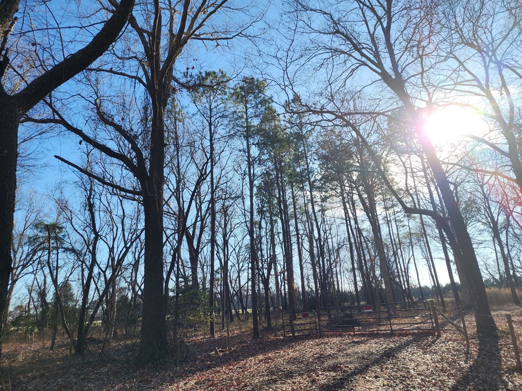 Lot 4 Church Neck Road, Unit 4D Machipongo, VA 23405 - Photo 4 of 6