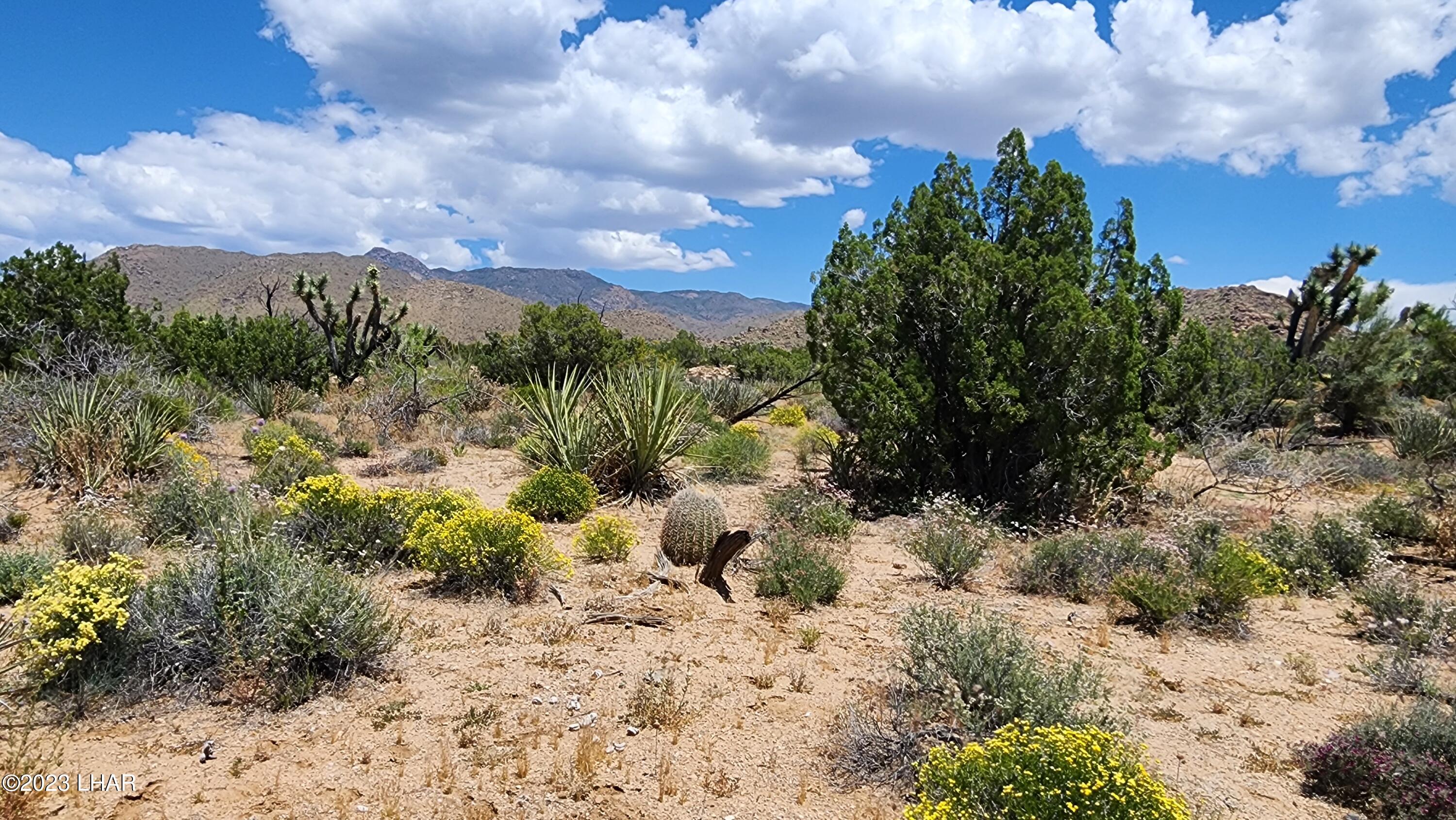 101 South Gunsmoke Road Yucca, AZ 86438 - Photo 1 of 67 Premier Parcel, Unique terrain