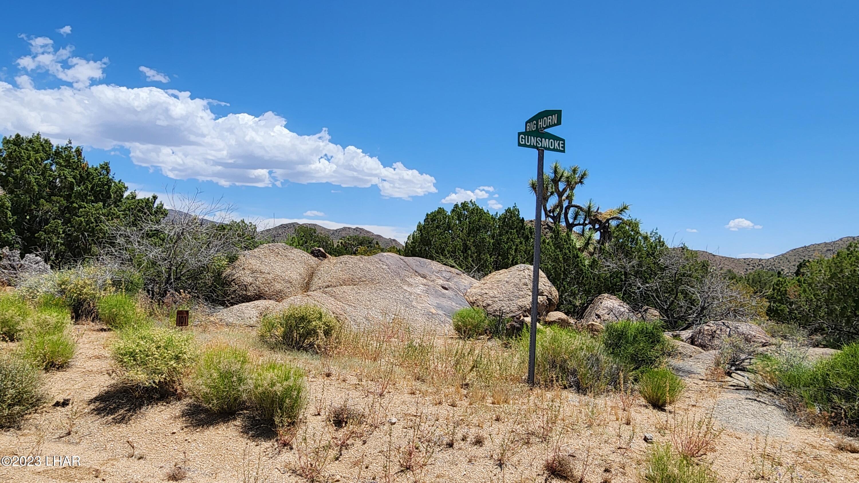 101 South Gunsmoke Road Yucca, AZ 86438 - Photo 11 of 67 20230513_124104