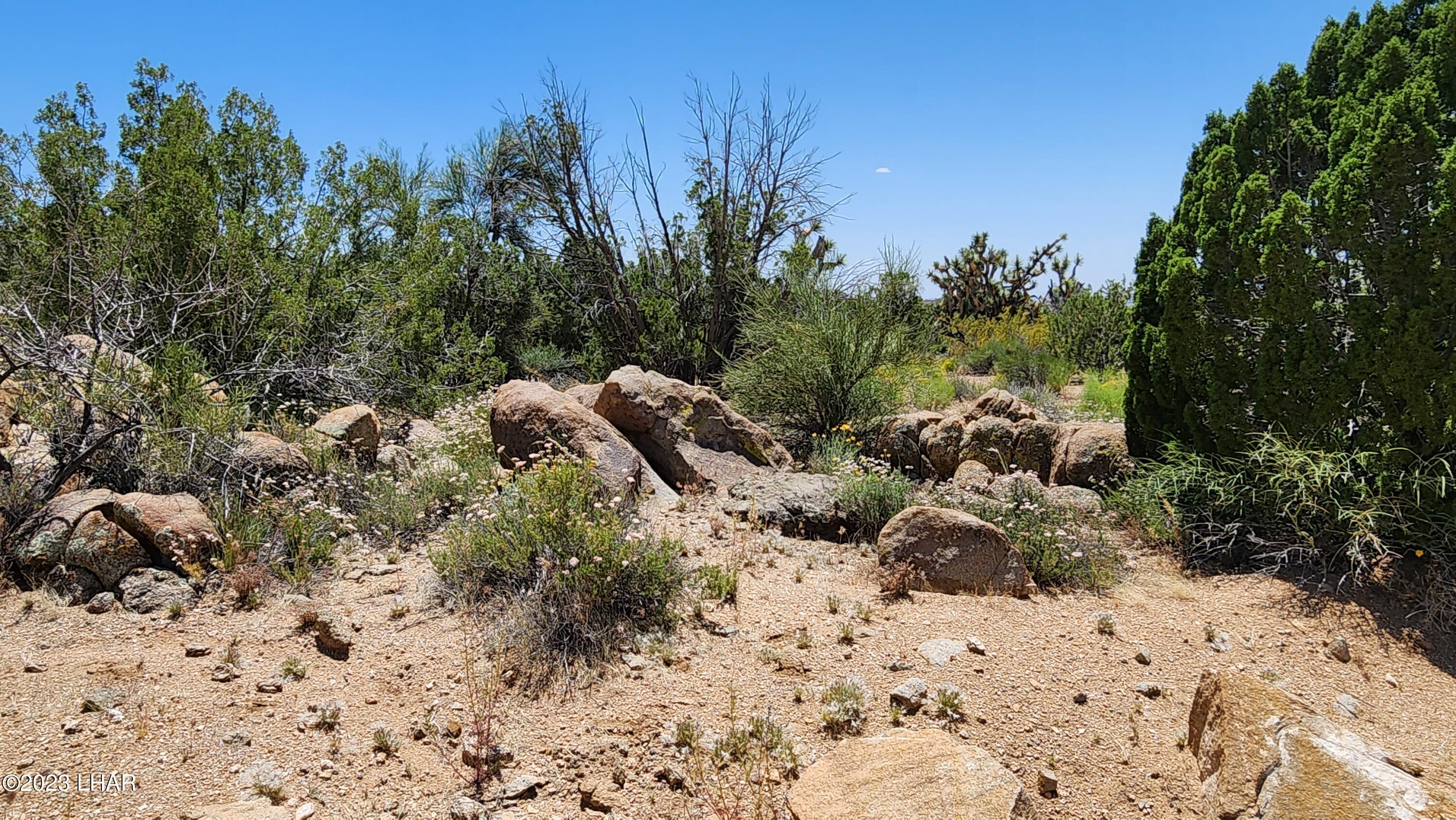 101 South Gunsmoke Road Yucca, AZ 86438 - Photo 12 of 67 20230513_124000