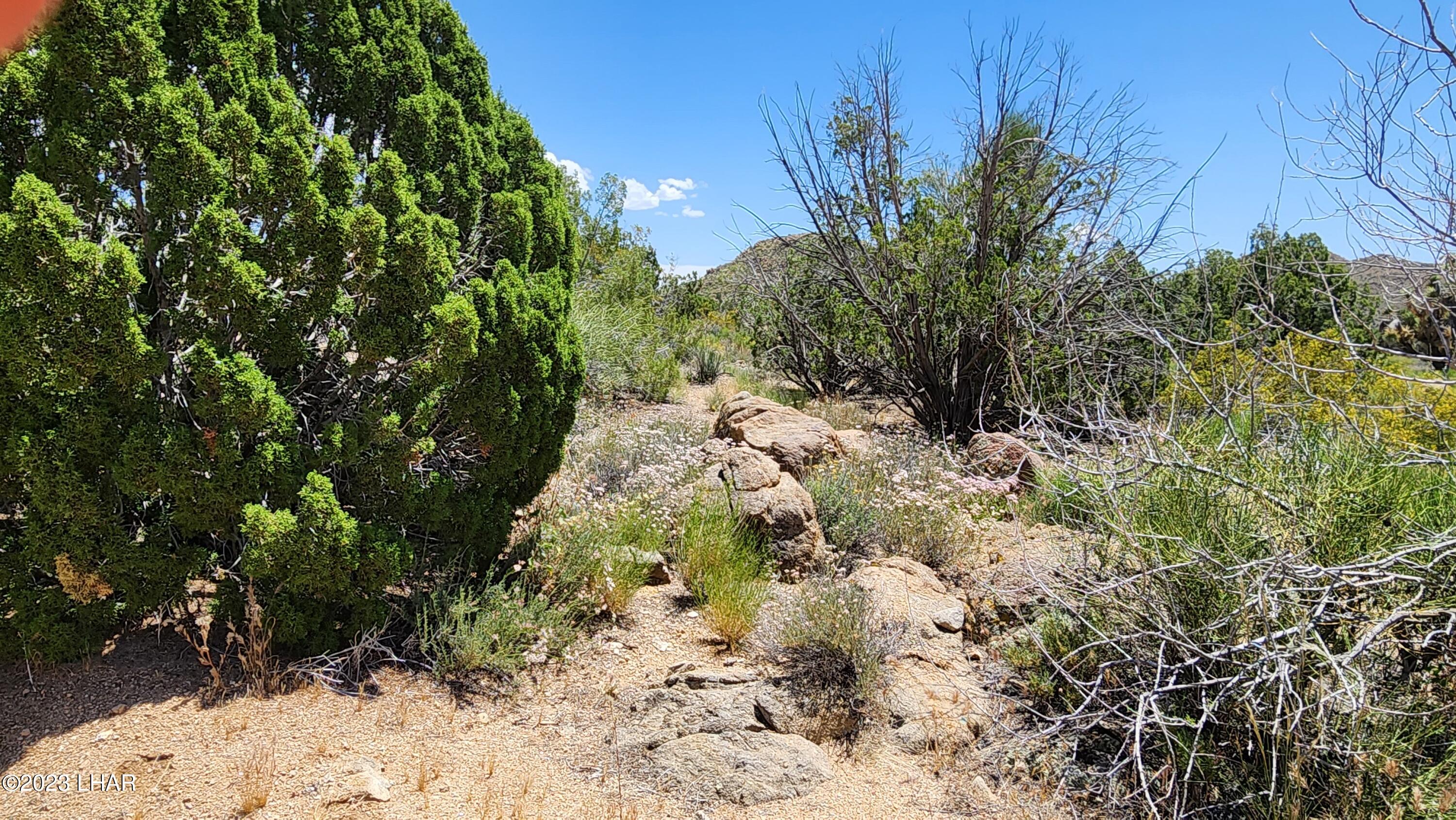 101 South Gunsmoke Road Yucca, AZ 86438 - Photo 13 of 67 20230513_124012