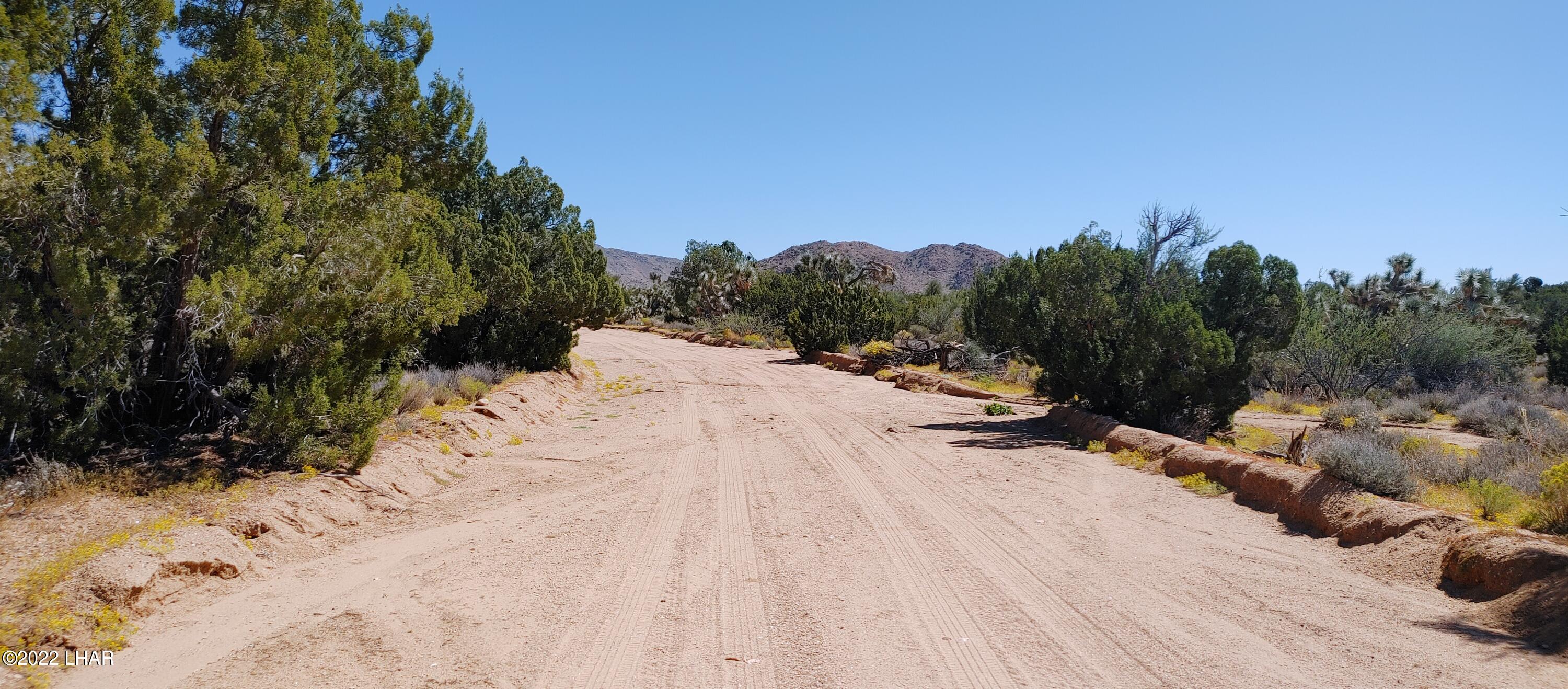 101 South Gunsmoke Road Yucca, AZ 86438 - Photo 17 of 67 0919221147a