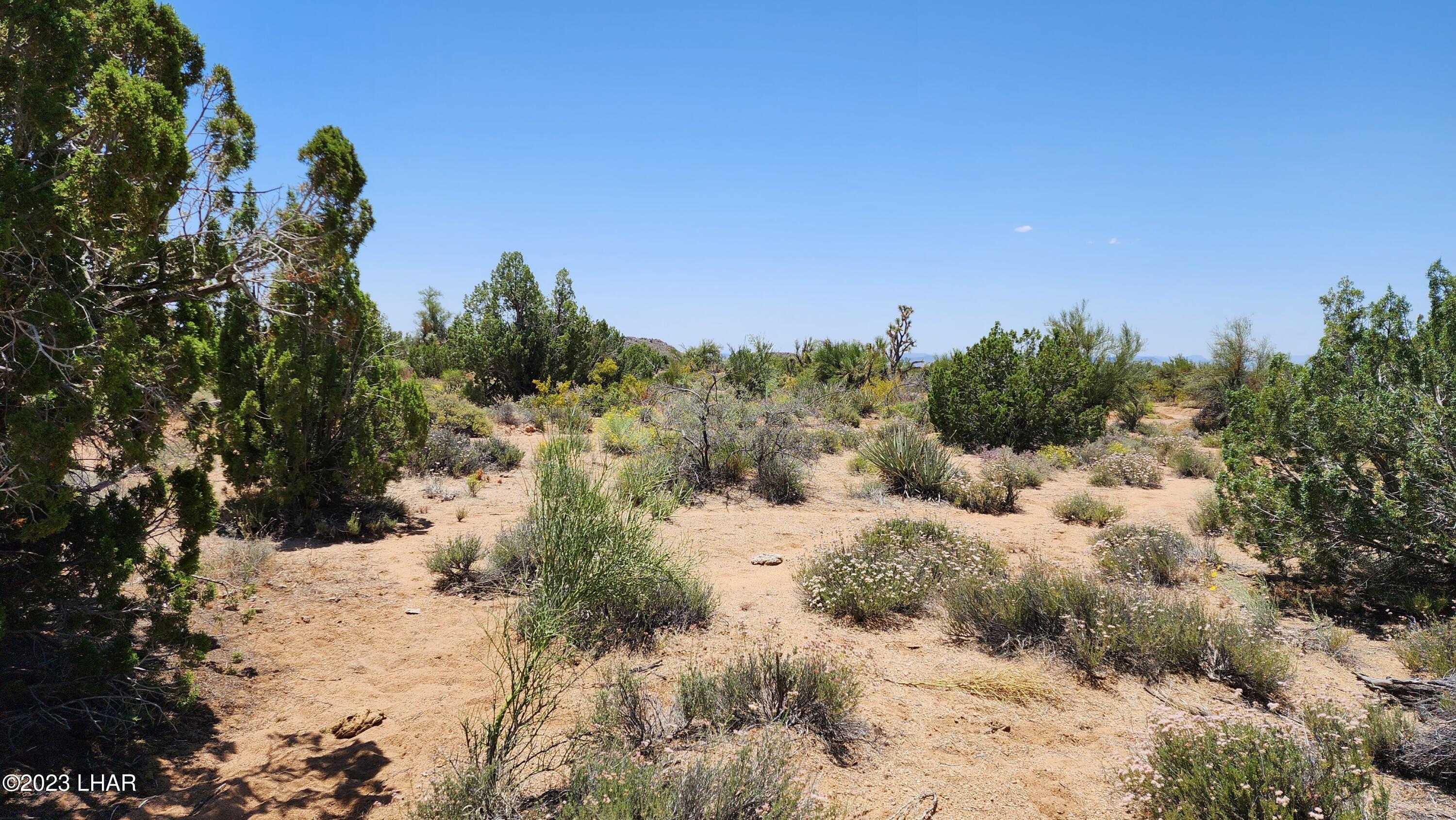 101 South Gunsmoke Road Yucca, AZ 86438 - Photo 20 of 67 20230513_122151