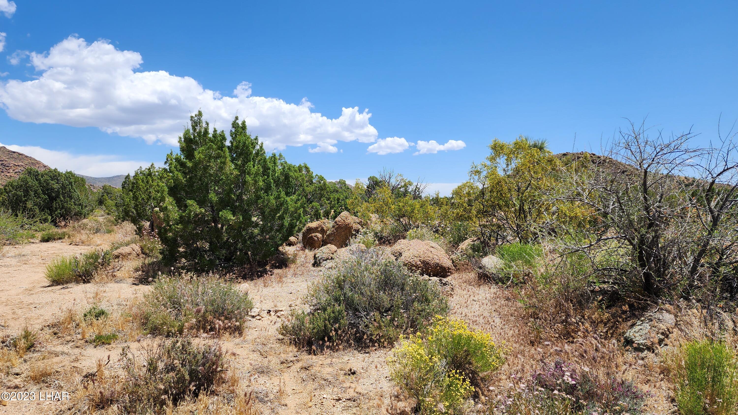 101 South Gunsmoke Road Yucca, AZ 86438 - Photo 2 of 67 38-Acres of Pure Beauty