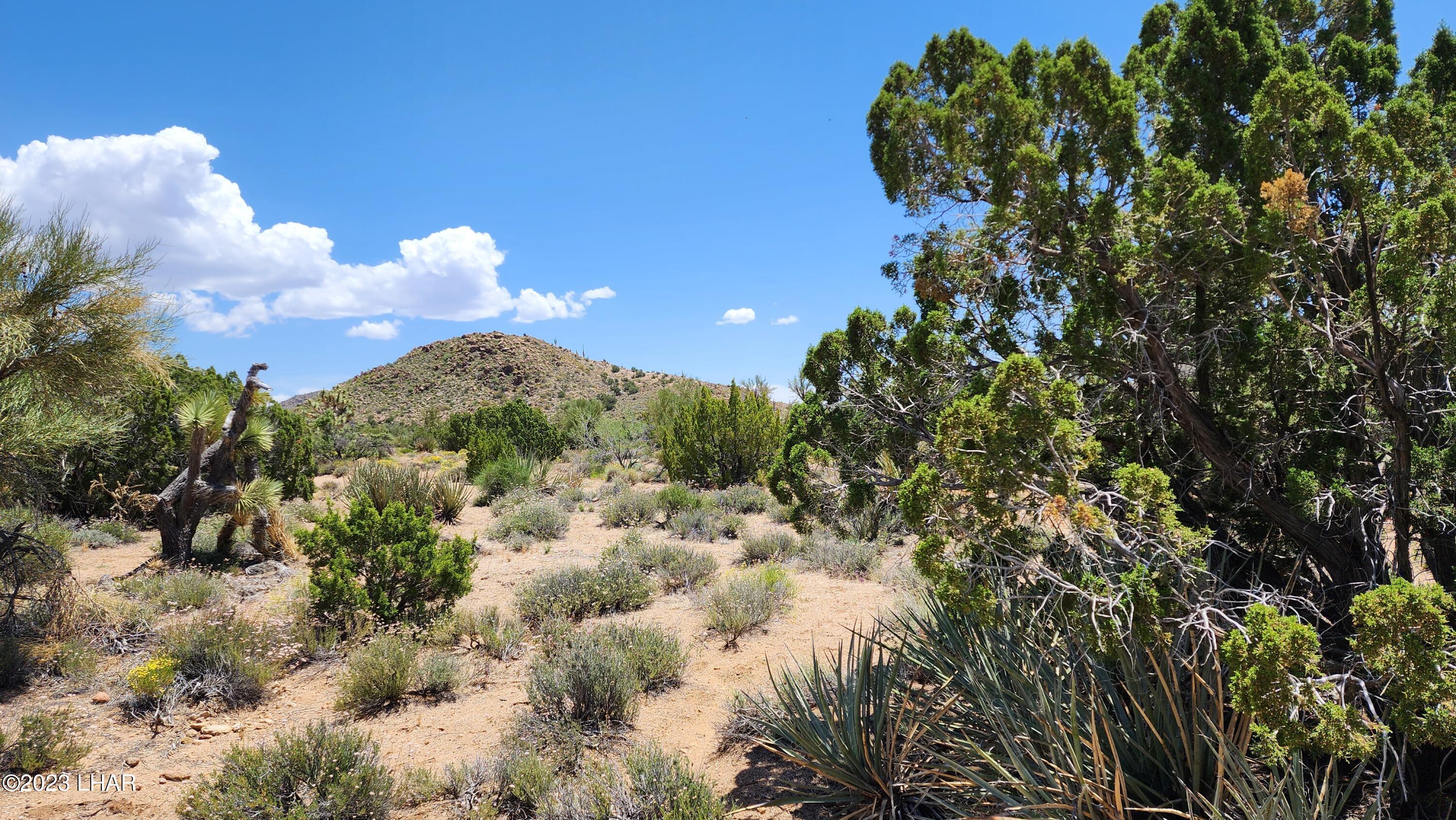 101 South Gunsmoke Road Yucca, AZ 86438 - Photo 21 of 67 20230513_122156