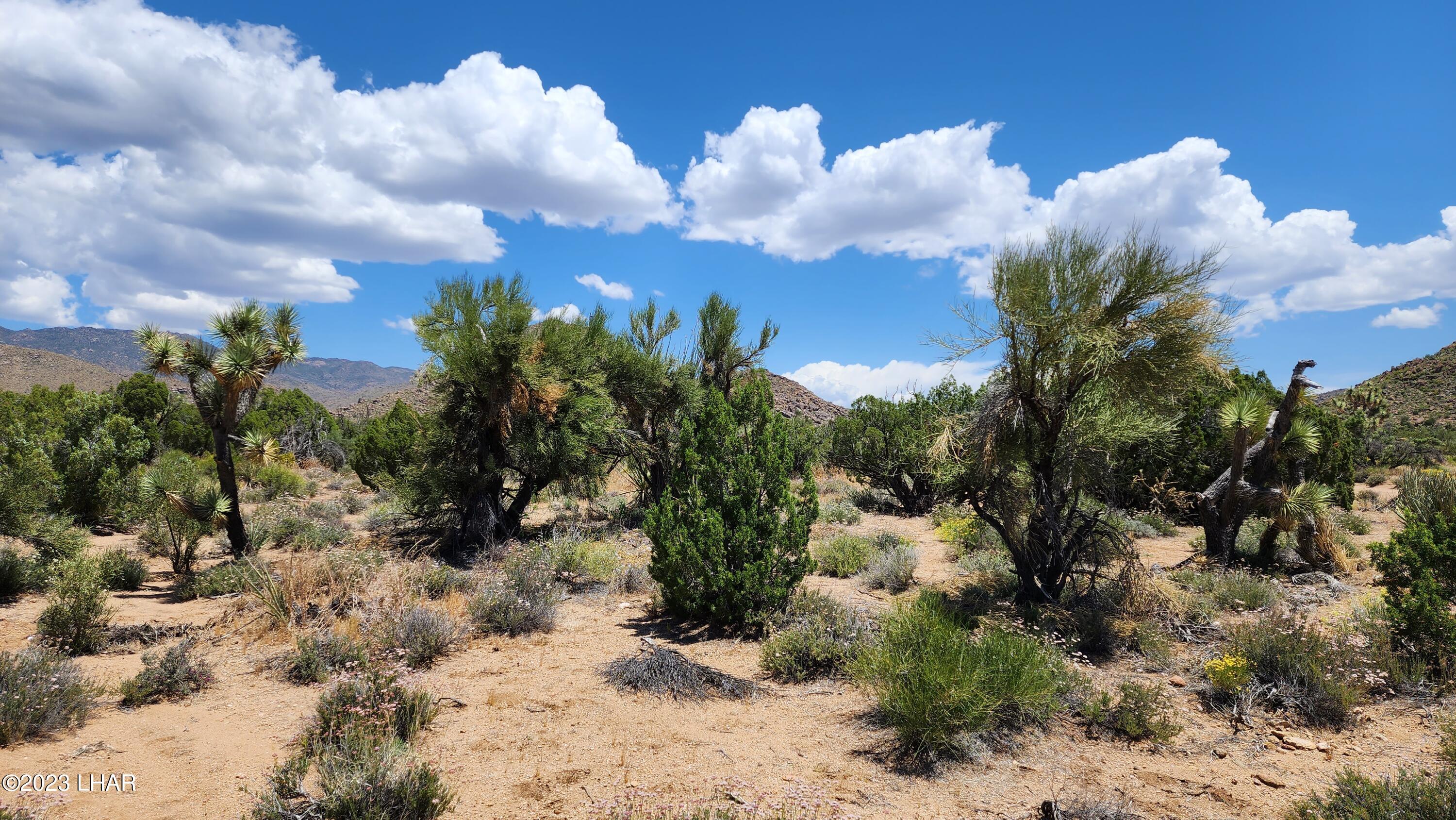 101 South Gunsmoke Road Yucca, AZ 86438 - Photo 22 of 67 20230513_122200