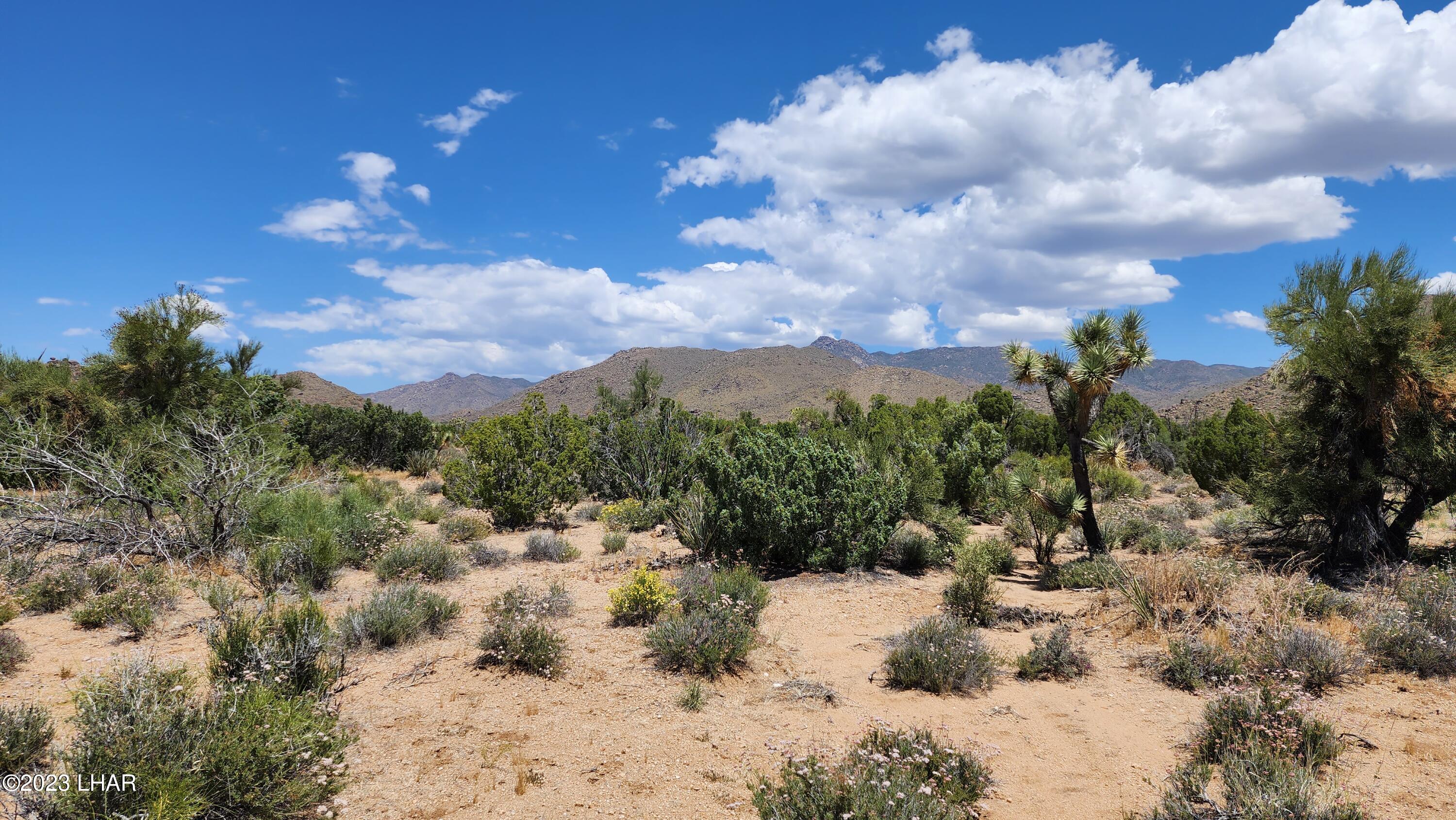 101 South Gunsmoke Road Yucca, AZ 86438 - Photo 23 of 67 20230513_122203