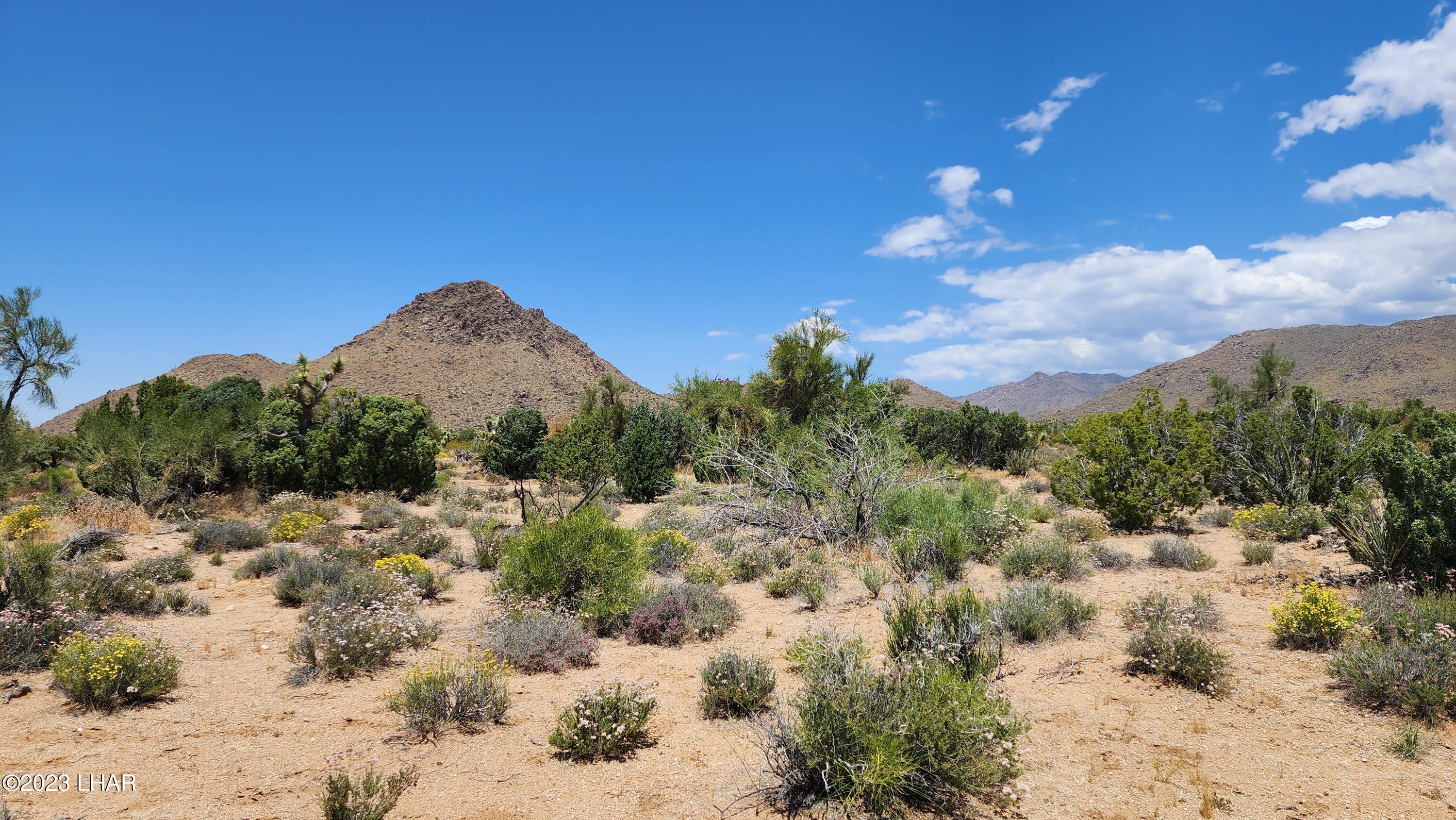 101 South Gunsmoke Road Yucca, AZ 86438 - Photo 24 of 67 20230513_122207