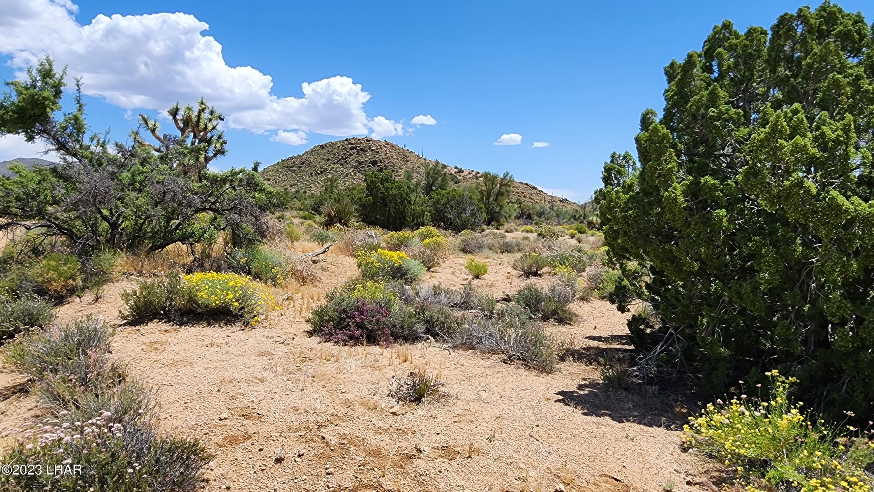101 South Gunsmoke Road Yucca, AZ 86438 - Photo 25 of 67 20230513_122307