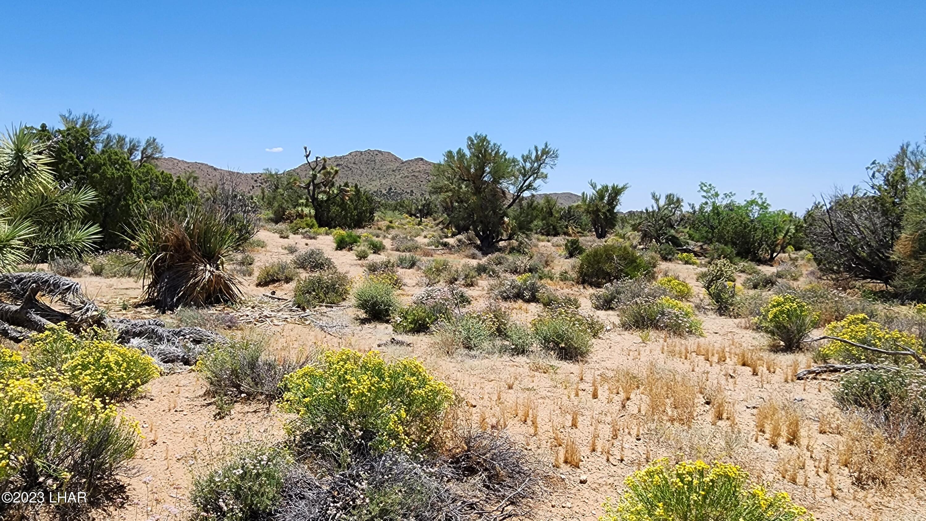 101 South Gunsmoke Road Yucca, AZ 86438 - Photo 27 of 67 20230513_122401