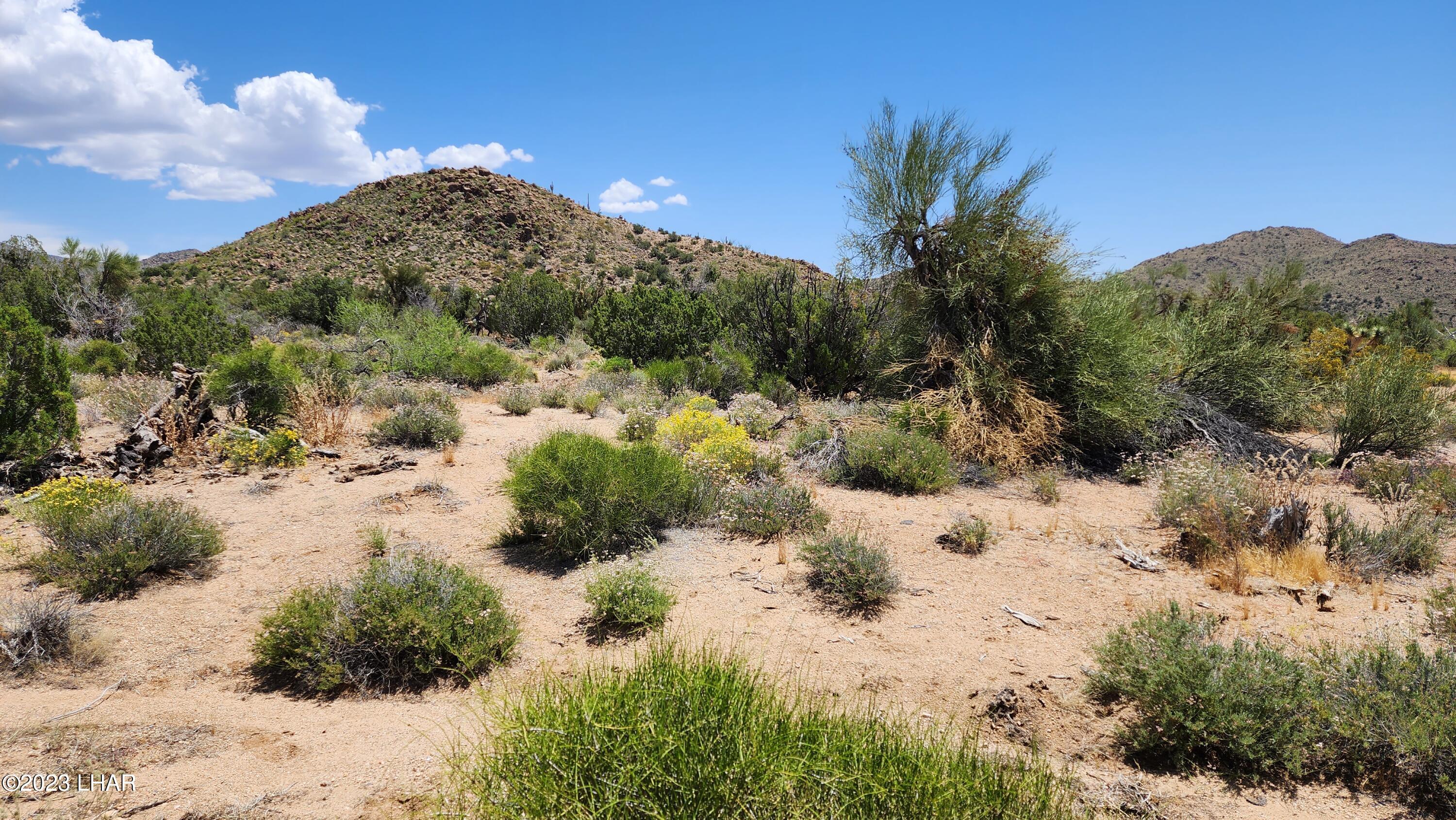 101 South Gunsmoke Road Yucca, AZ 86438 - Photo 28 of 67 20230513_122610