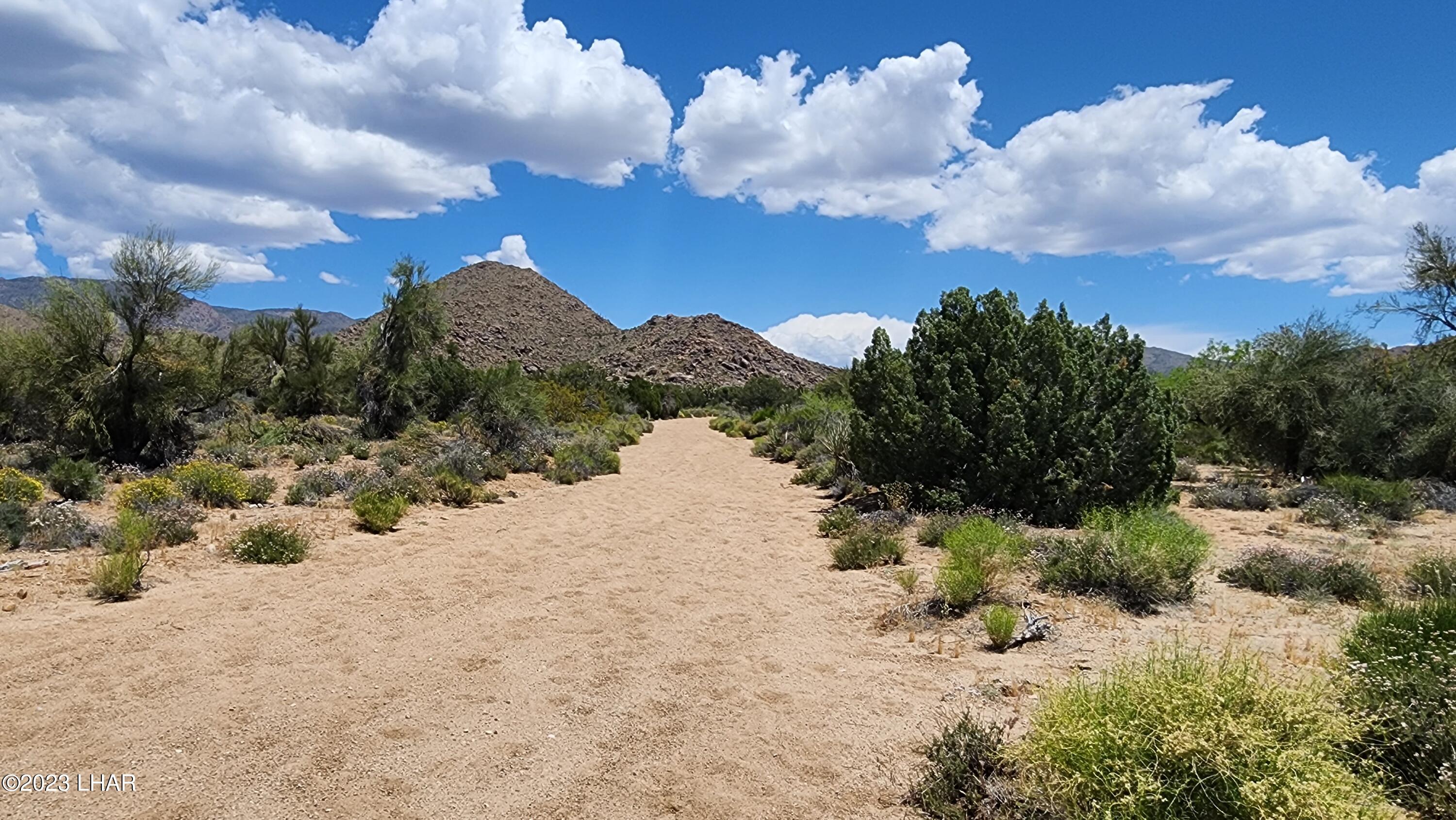 101 South Gunsmoke Road Yucca, AZ 86438 - Photo 29 of 67 20230513_122631