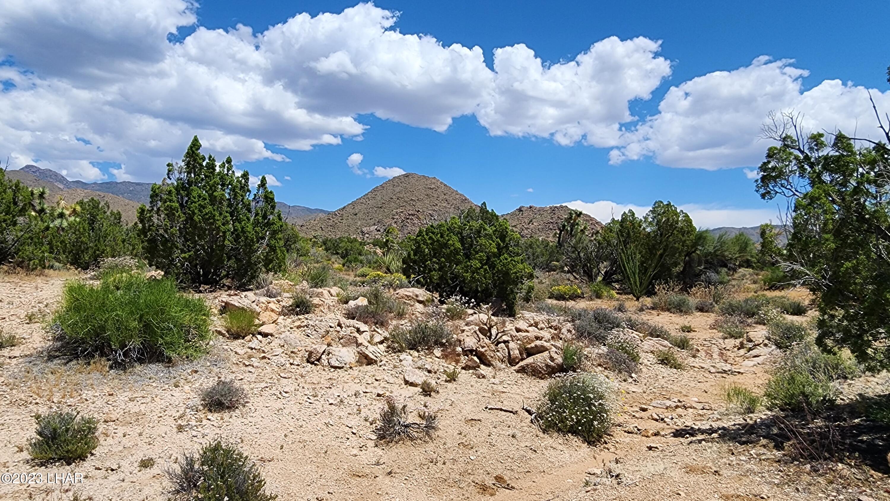 101 South Gunsmoke Road Yucca, AZ 86438 - Photo 32 of 67 20230513_122942