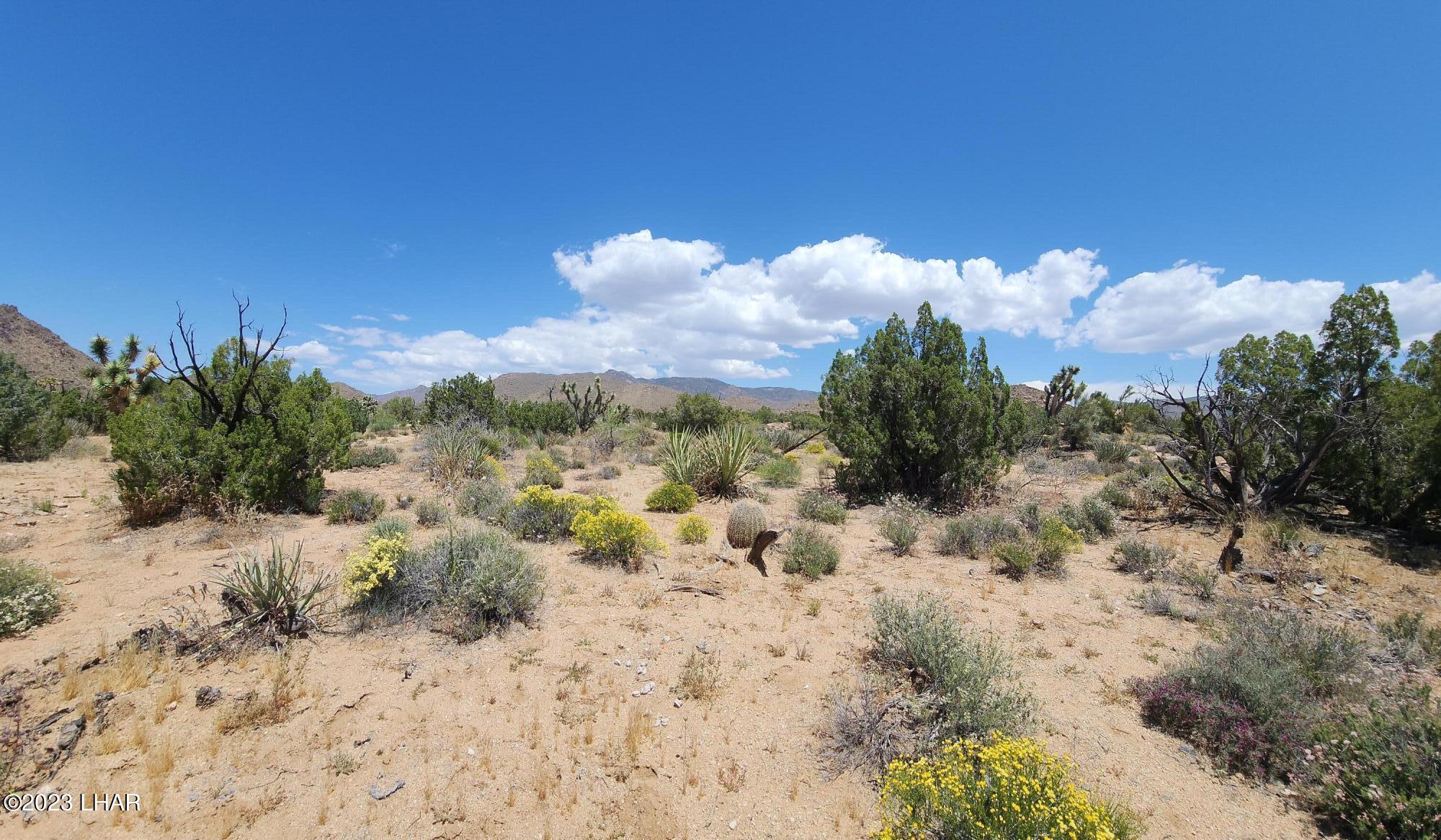 101 South Gunsmoke Road Yucca, AZ 86438 - Photo 33 of 67 20230513_123017