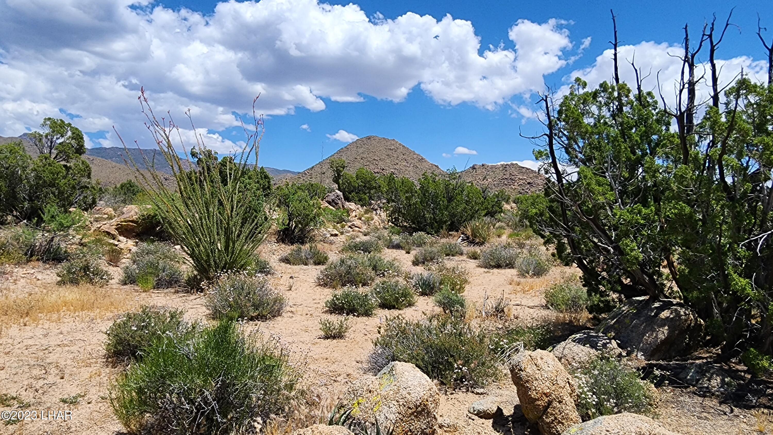 101 South Gunsmoke Road Yucca, AZ 86438 - Photo 36 of 67 20230513_123218