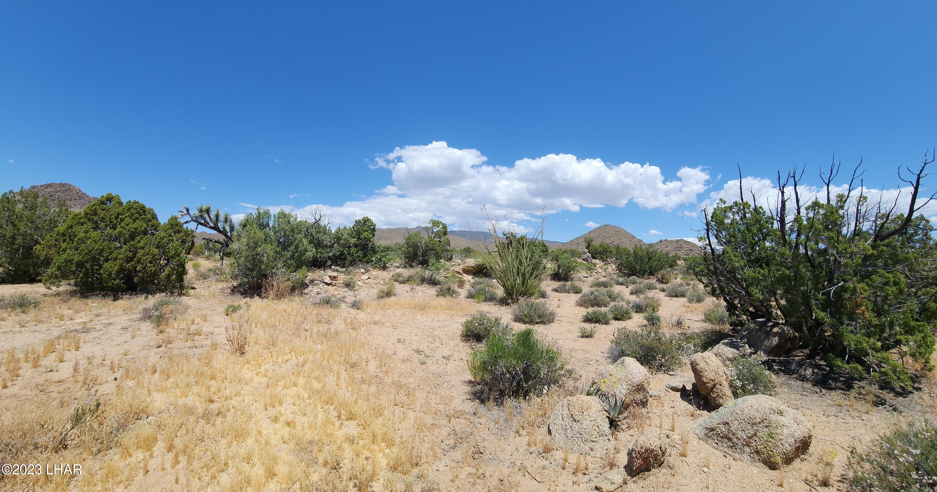 101 South Gunsmoke Road Yucca, AZ 86438 - Photo 37 of 67 20230513_123237