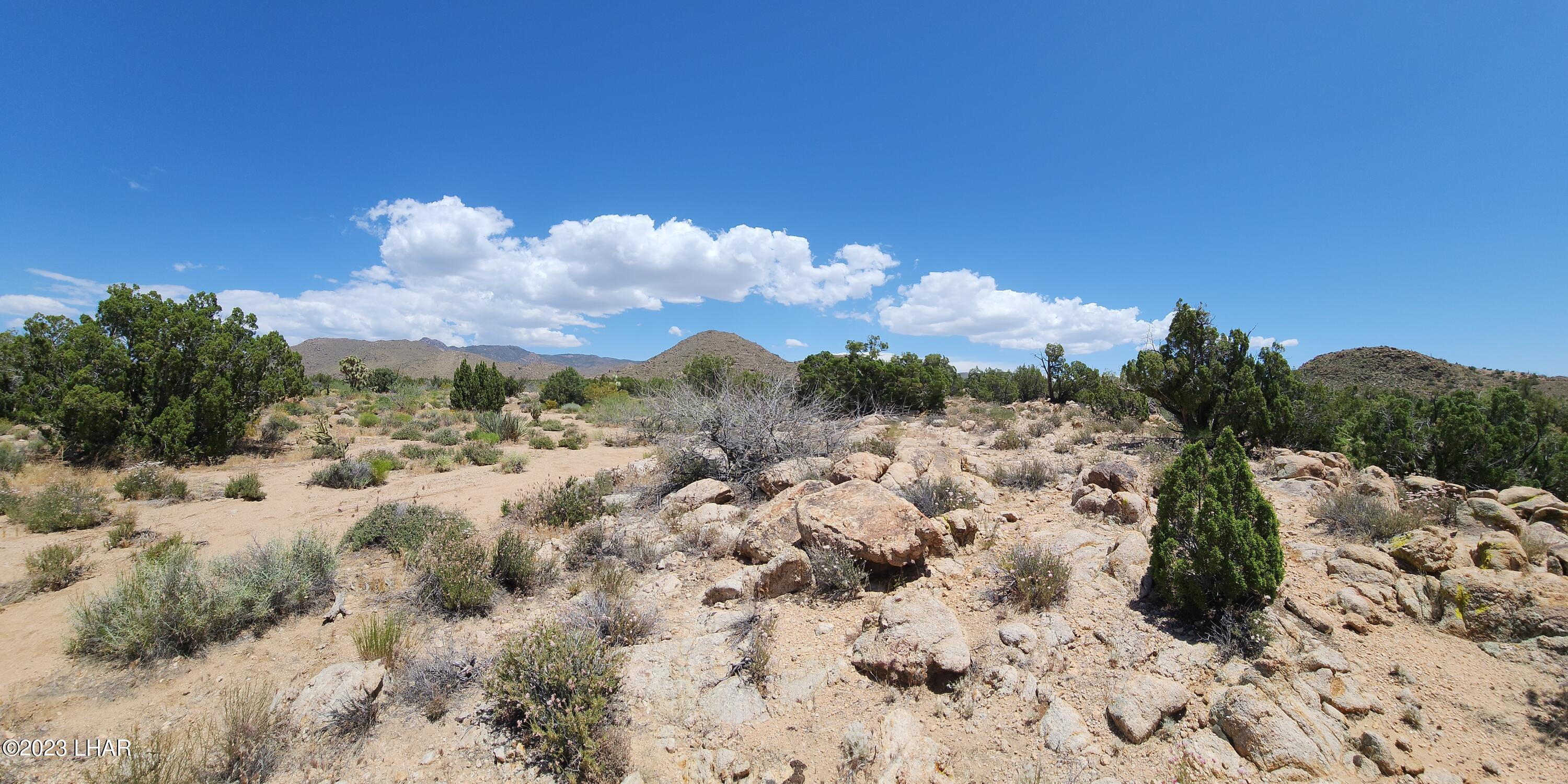 101 South Gunsmoke Road Yucca, AZ 86438 - Photo 39 of 67 20230513_123321