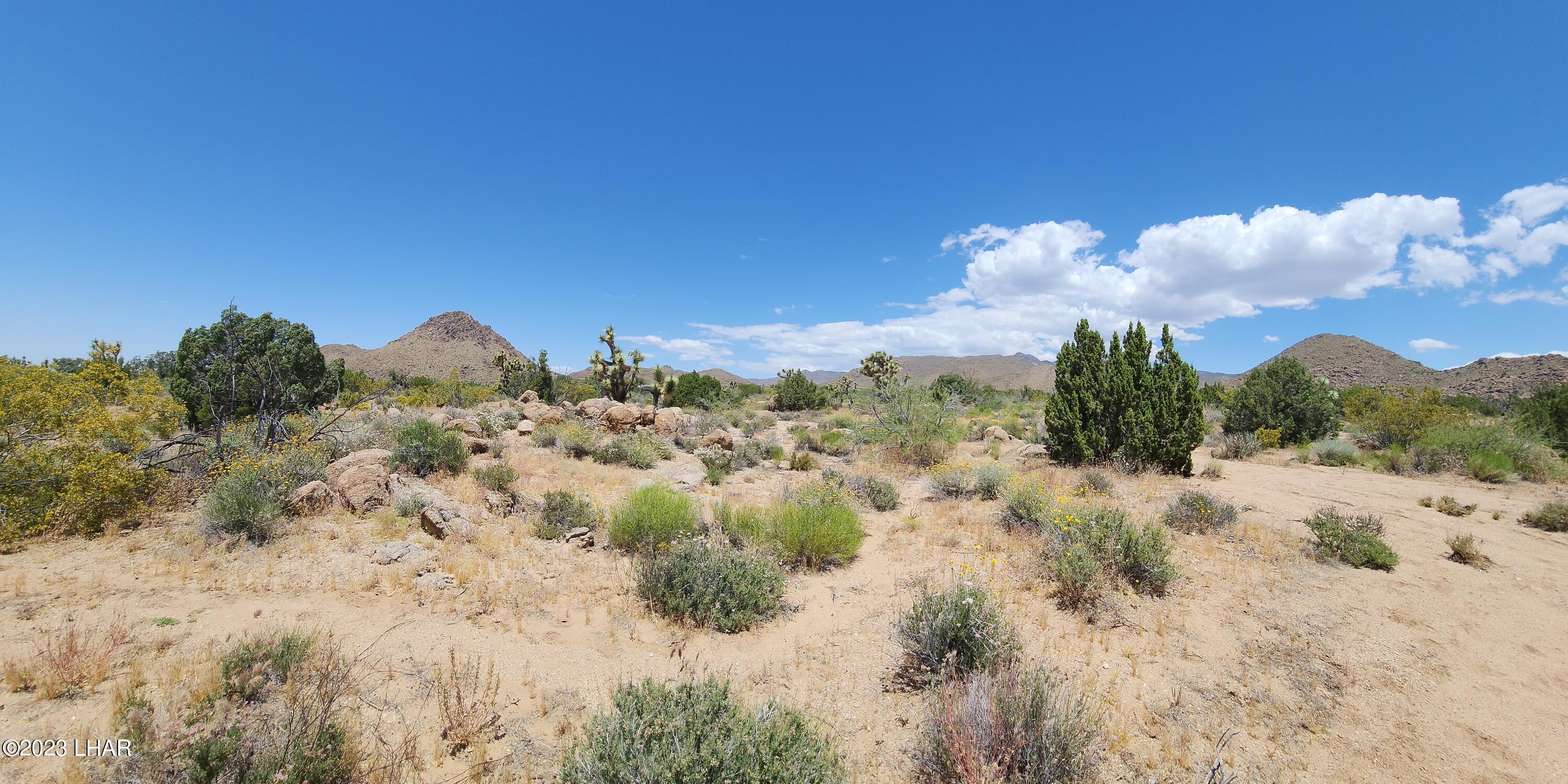 101 South Gunsmoke Road Yucca, AZ 86438 - Photo 40 of 67 20230513_123430