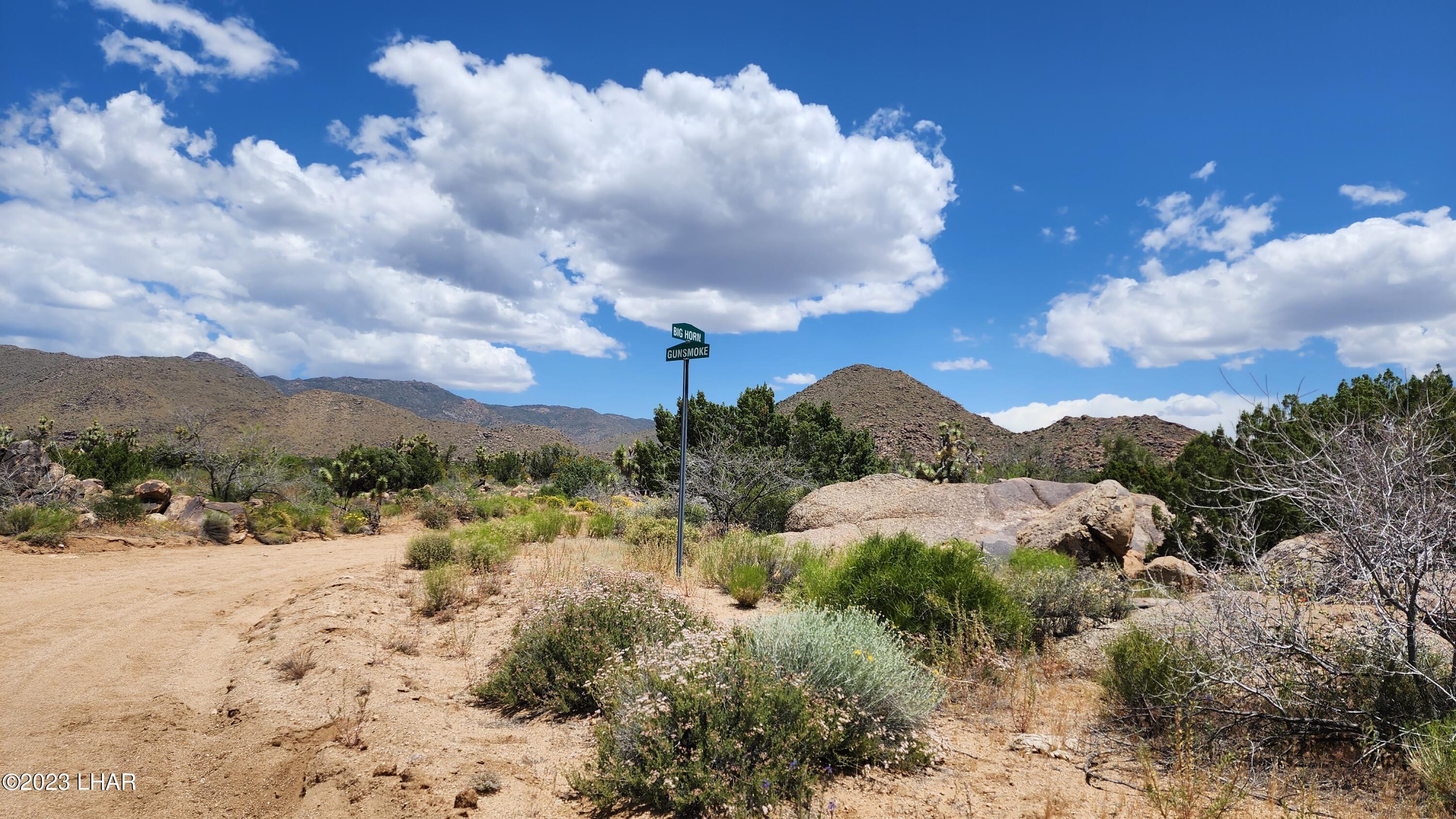 101 South Gunsmoke Road Yucca, AZ 86438 - Photo 4 of 67 20230513_124124