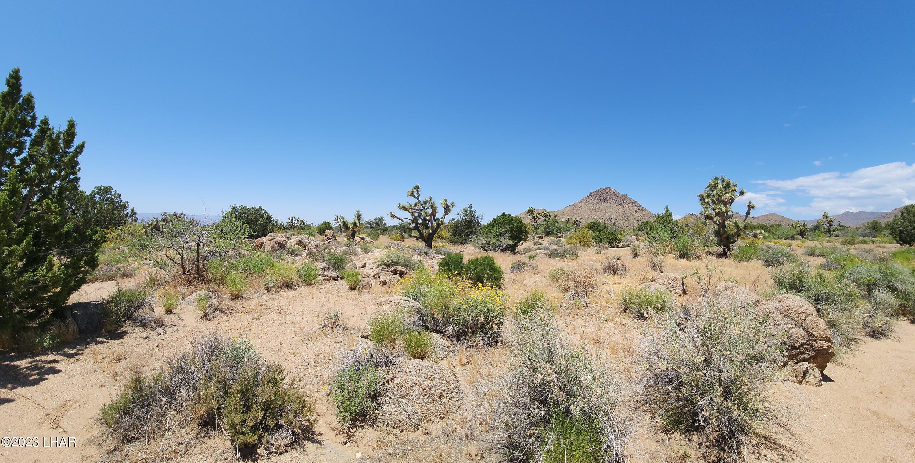101 South Gunsmoke Road Yucca, AZ 86438 - Photo 41 of 67 20230513_123502