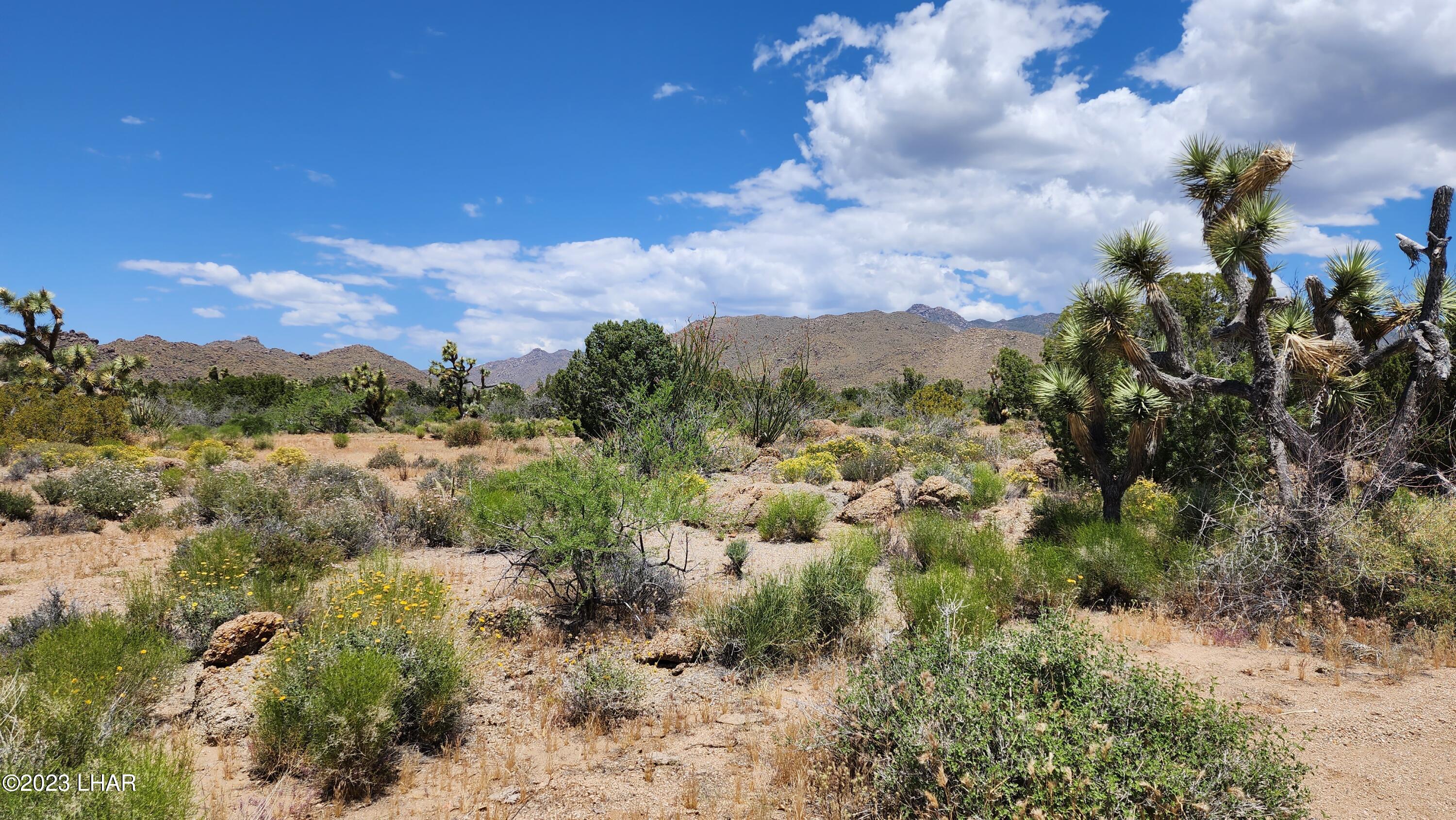 101 South Gunsmoke Road Yucca, AZ 86438 - Photo 42 of 67 20230513_123528