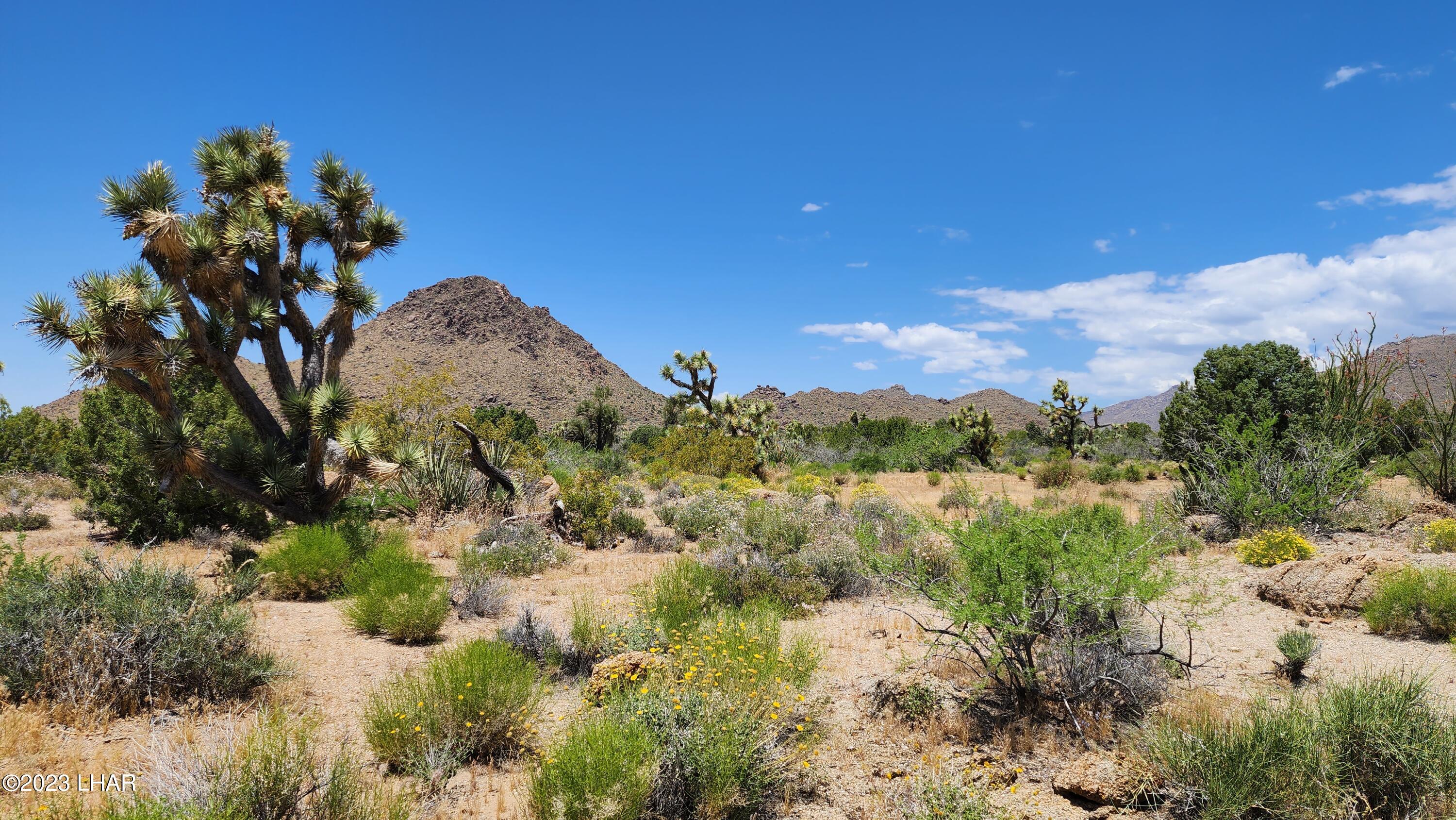 101 South Gunsmoke Road Yucca, AZ 86438 - Photo 43 of 67 20230513_123535