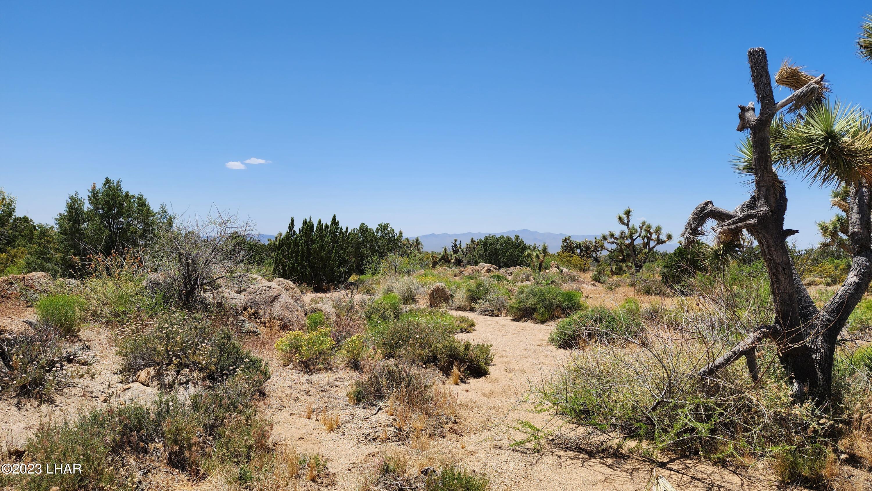 101 South Gunsmoke Road Yucca, AZ 86438 - Photo 44 of 67 20230513_123611