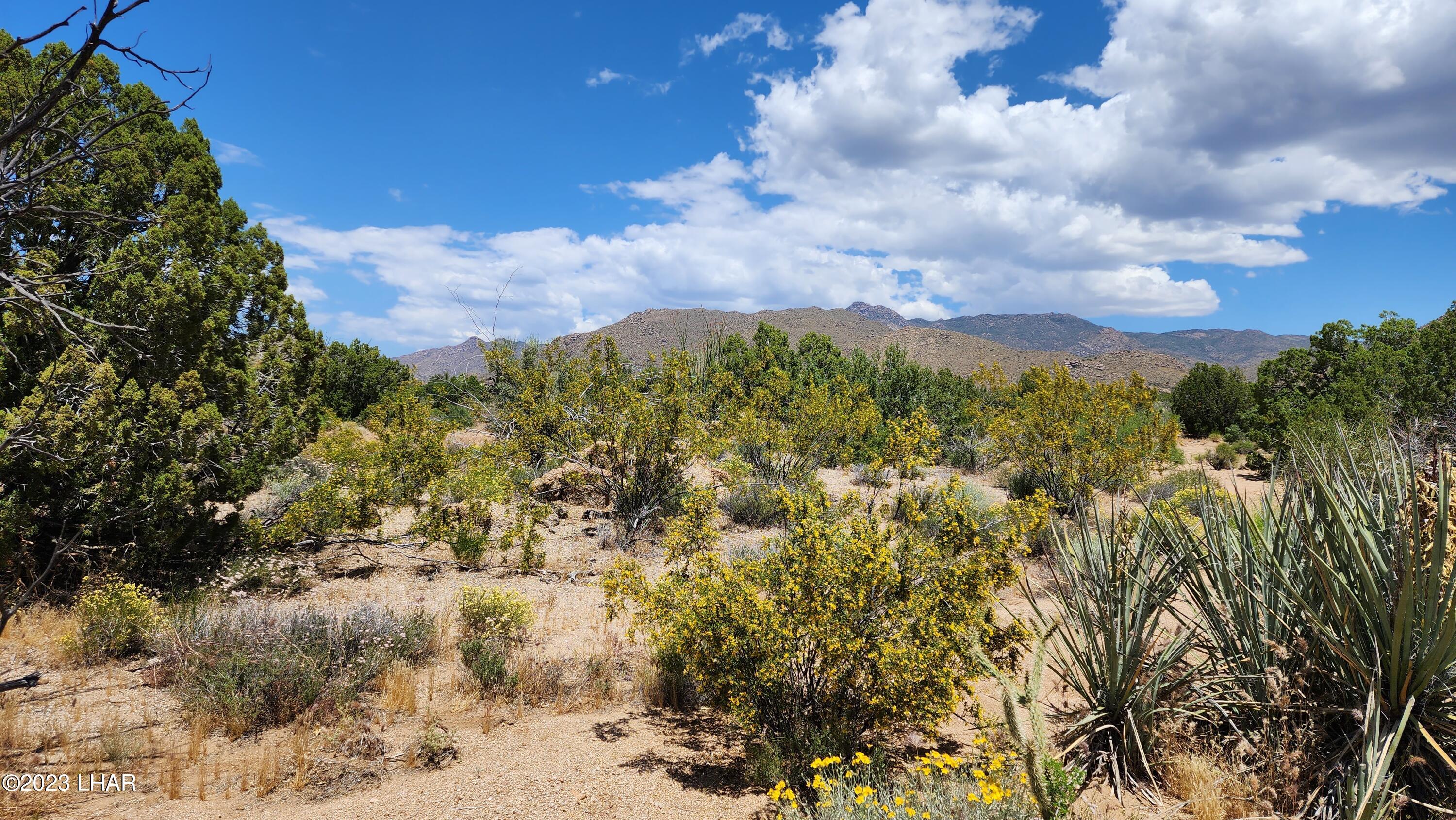 101 South Gunsmoke Road Yucca, AZ 86438 - Photo 45 of 67 20230513_123623