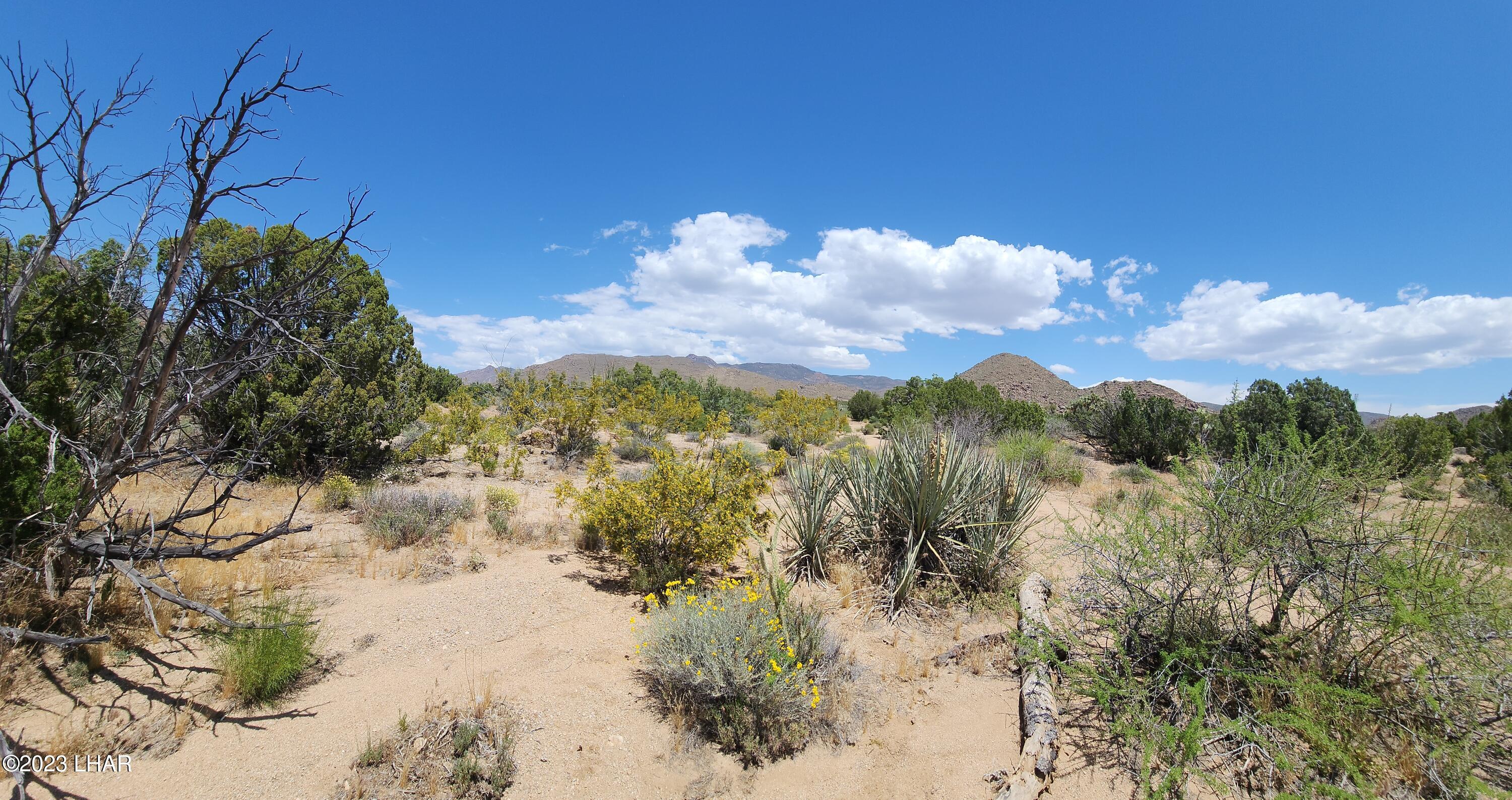101 South Gunsmoke Road Yucca, AZ 86438 - Photo 46 of 67 20230513_123638