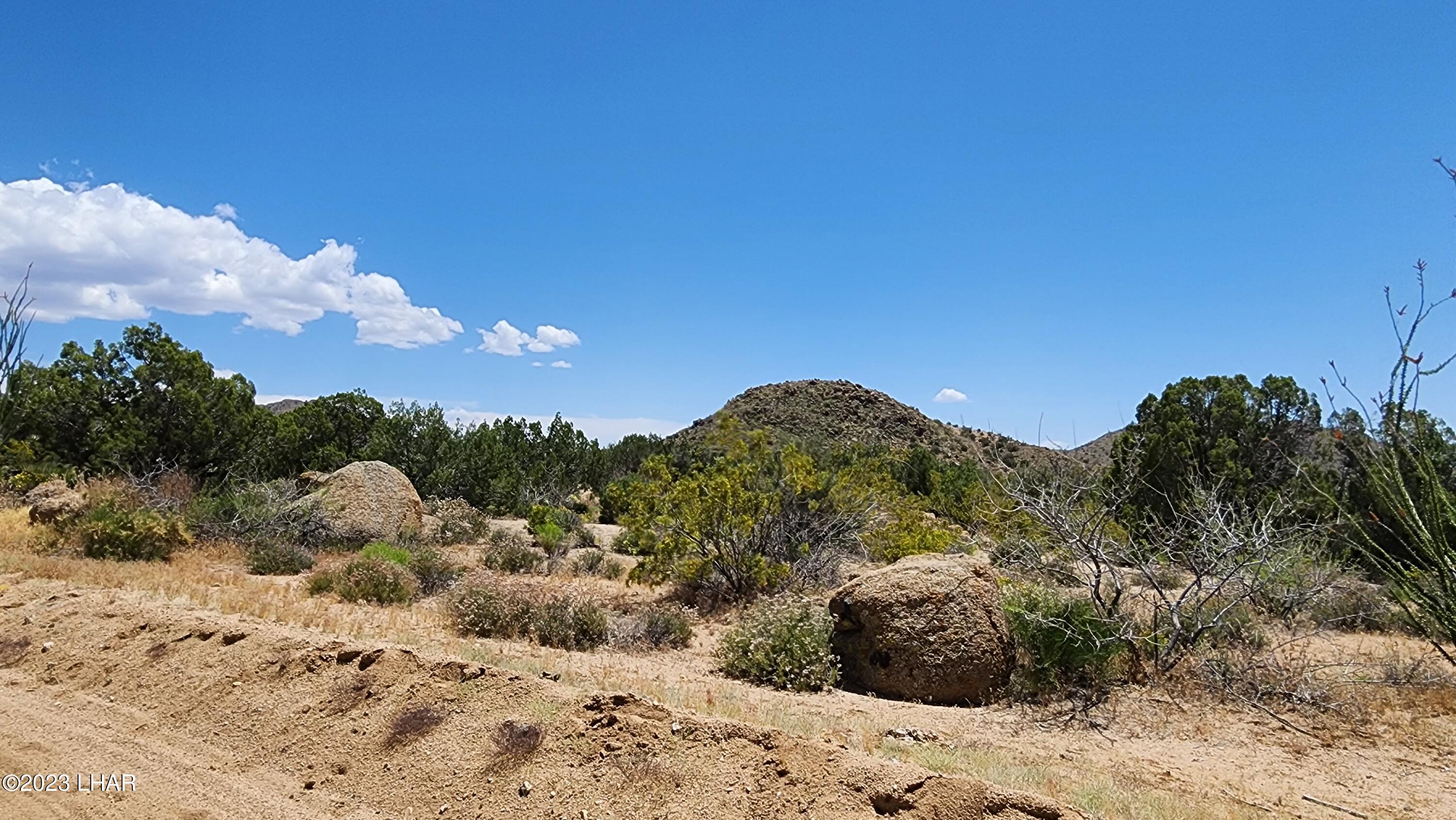 101 South Gunsmoke Road Yucca, AZ 86438 - Photo 50 of 67 20230513_123804