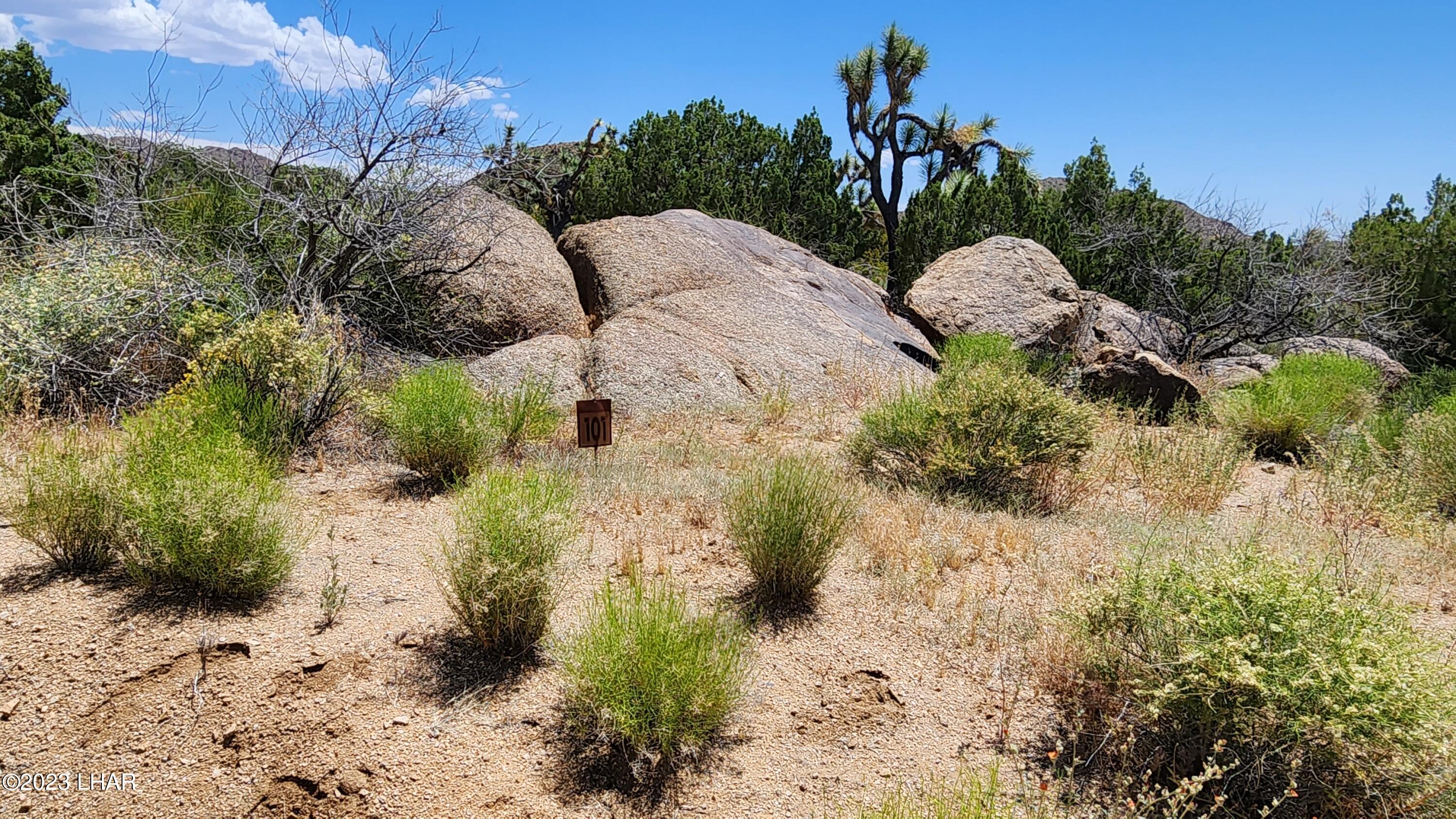 101 South Gunsmoke Road Yucca, AZ 86438 - Photo 5 of 67 Parcel 101 Gunsmoke Rd