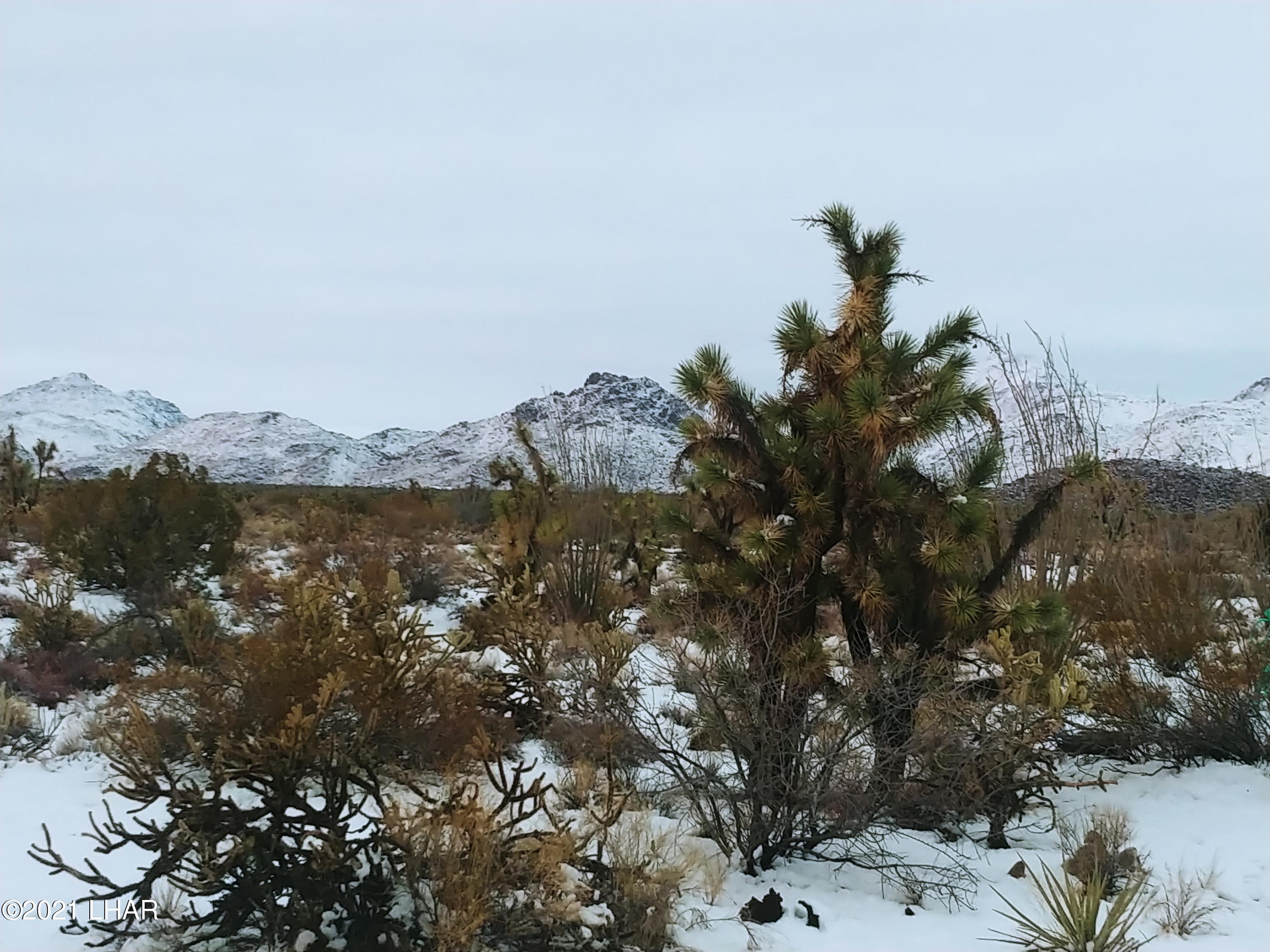 101 South Gunsmoke Road Yucca, AZ 86438 - Photo 51 of 67 January Snow fall.. A few days of rare snow..