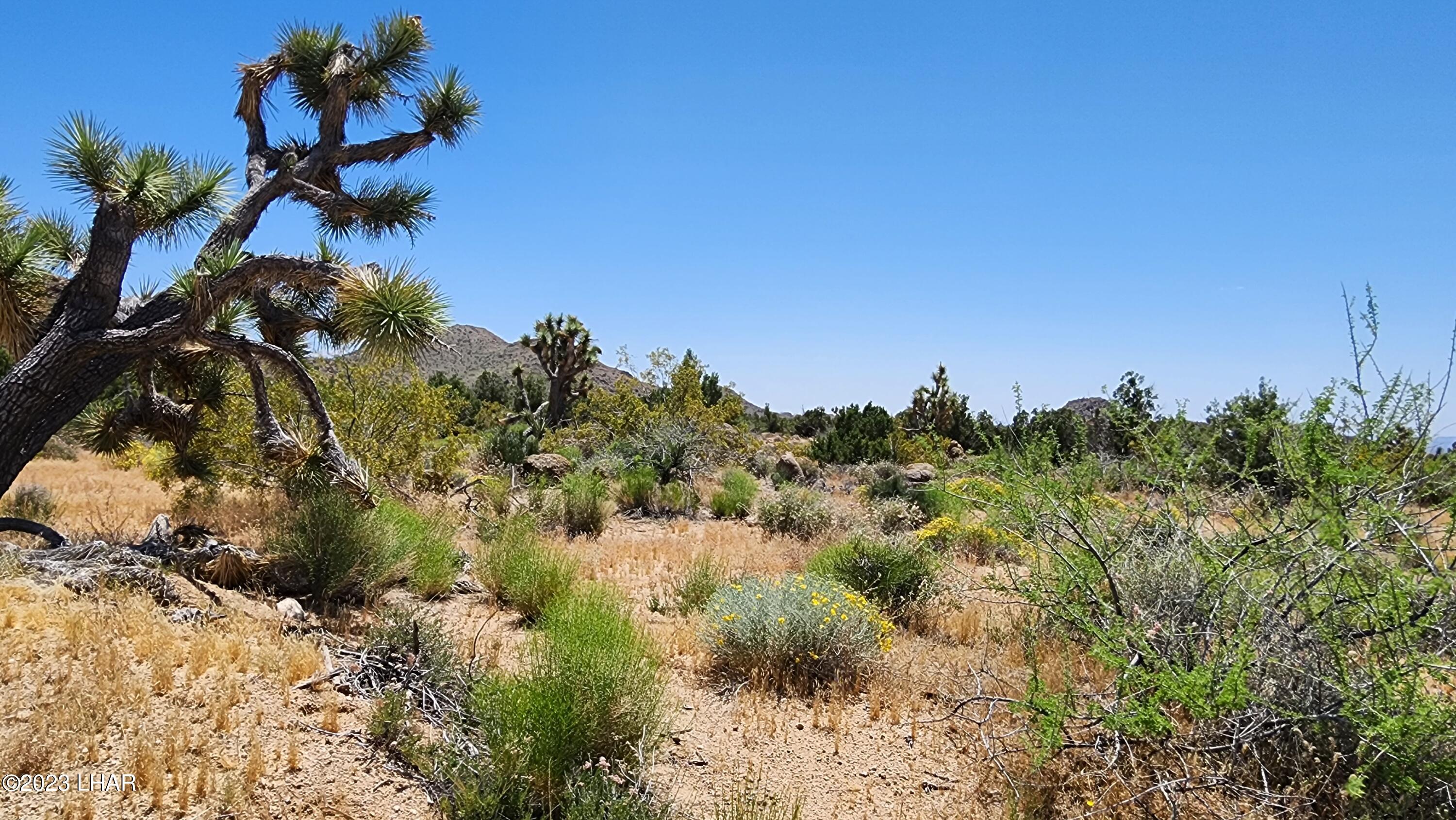 101 South Gunsmoke Road Yucca, AZ 86438 - Photo 52 of 67 20230513_123825