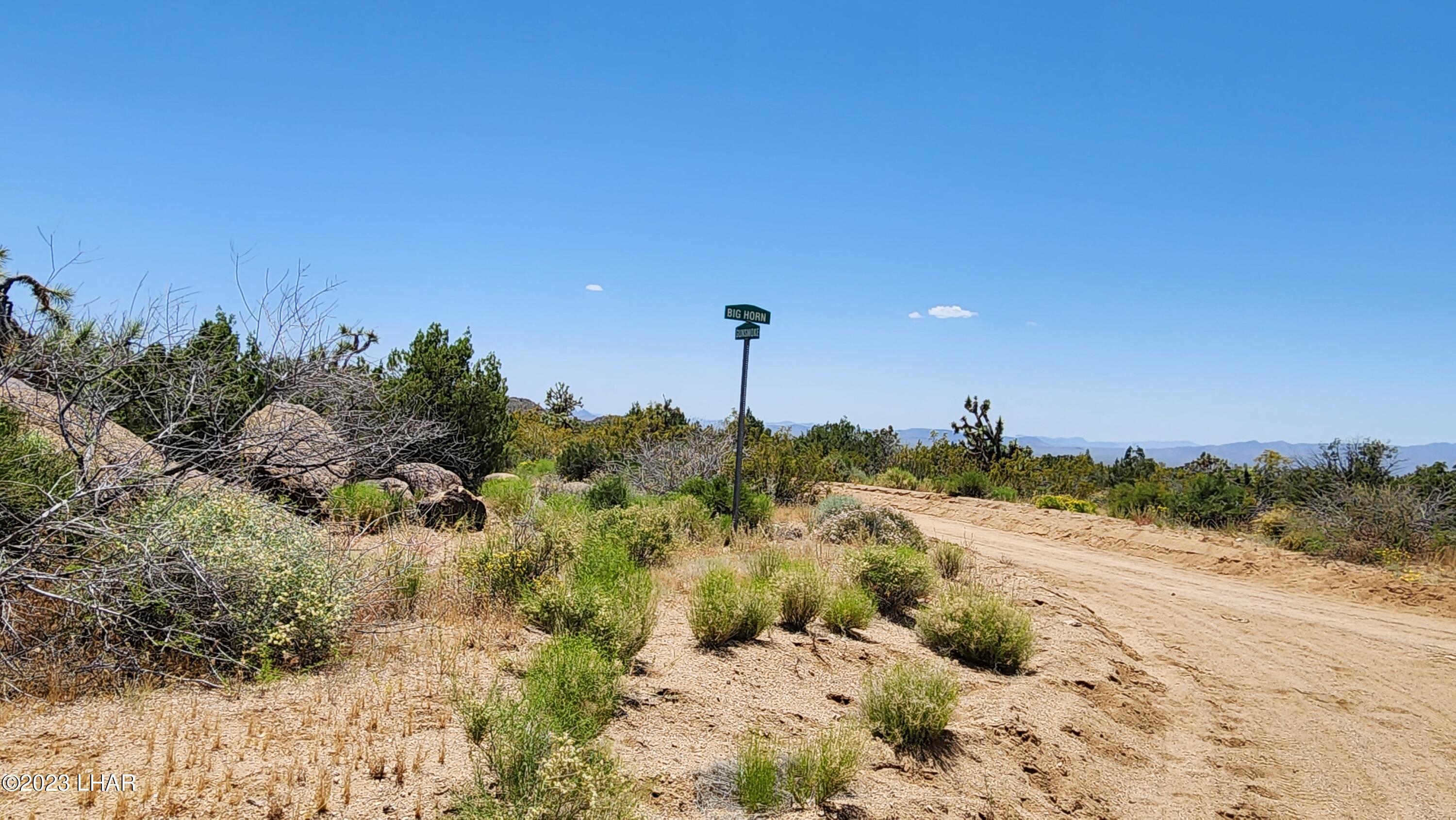 101 South Gunsmoke Road Yucca, AZ 86438 - Photo 57 of 67 20230513_124040