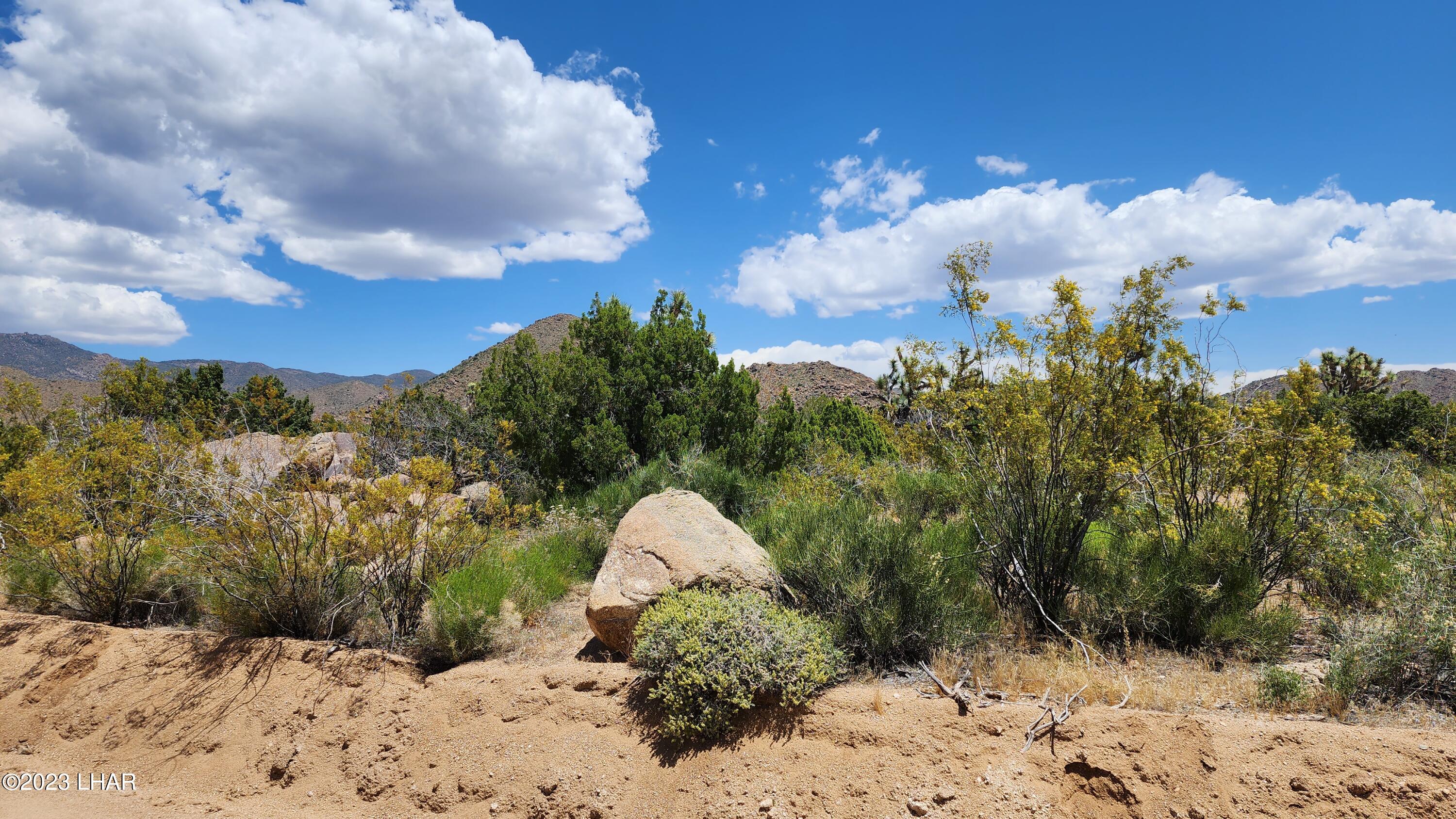 101 South Gunsmoke Road Yucca, AZ 86438 - Photo 59 of 67 20230513_124144