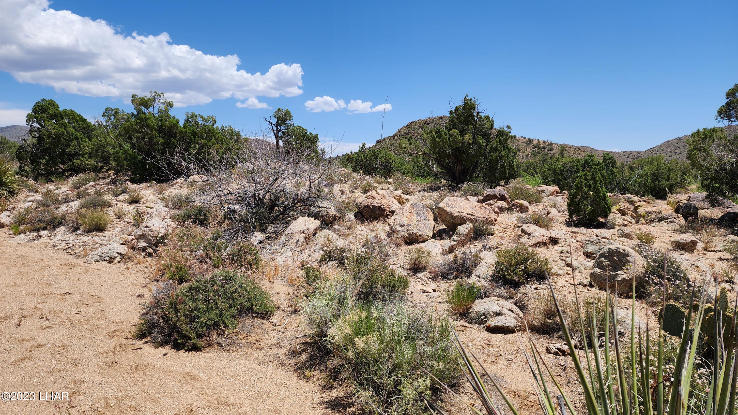 101 South Gunsmoke Road Yucca, AZ 86438 - Photo 6 of 67 Rock out croppings, Juniper Trees