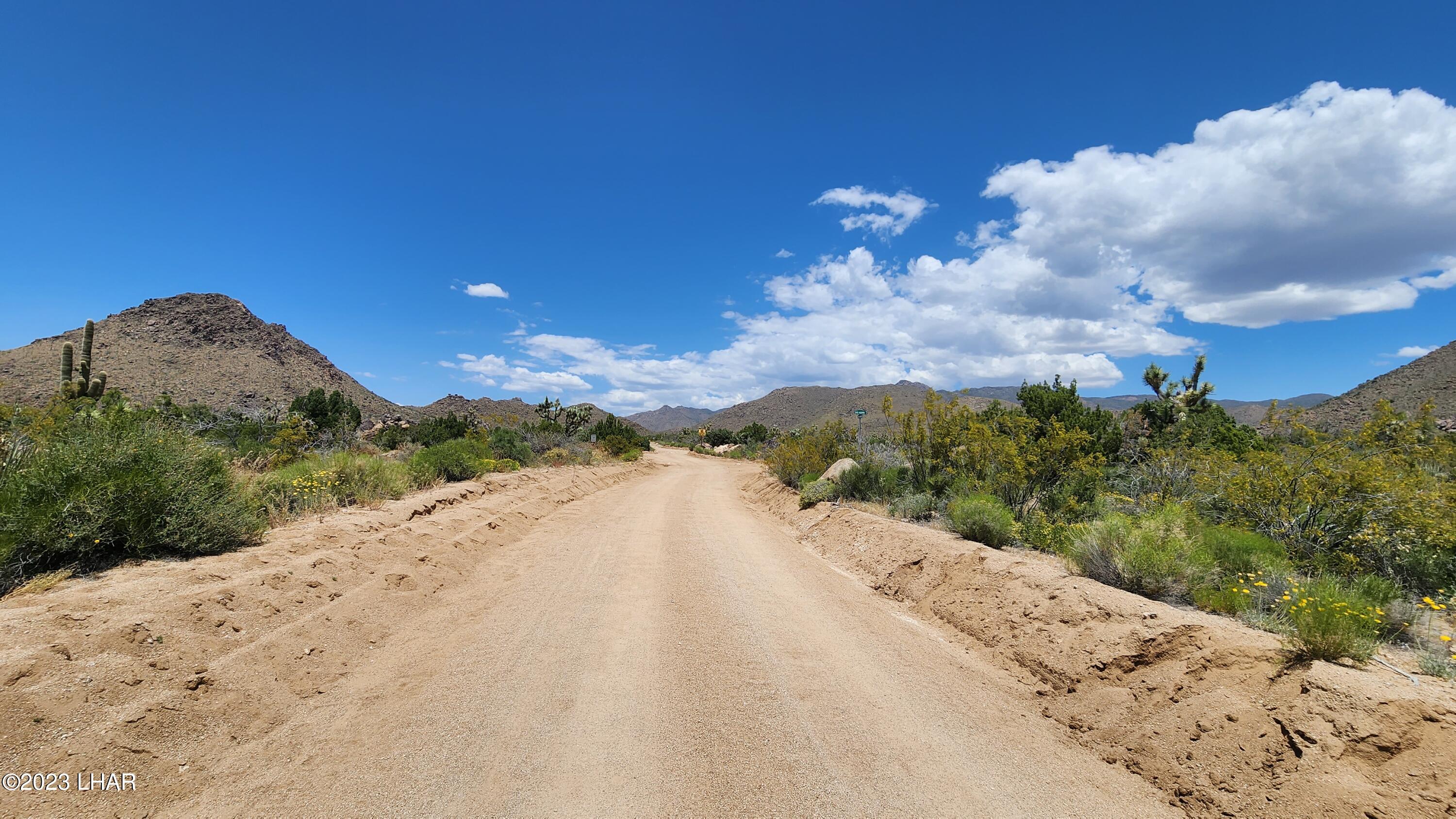 101 South Gunsmoke Road Yucca, AZ 86438 - Photo 62 of 67 20230513_124203