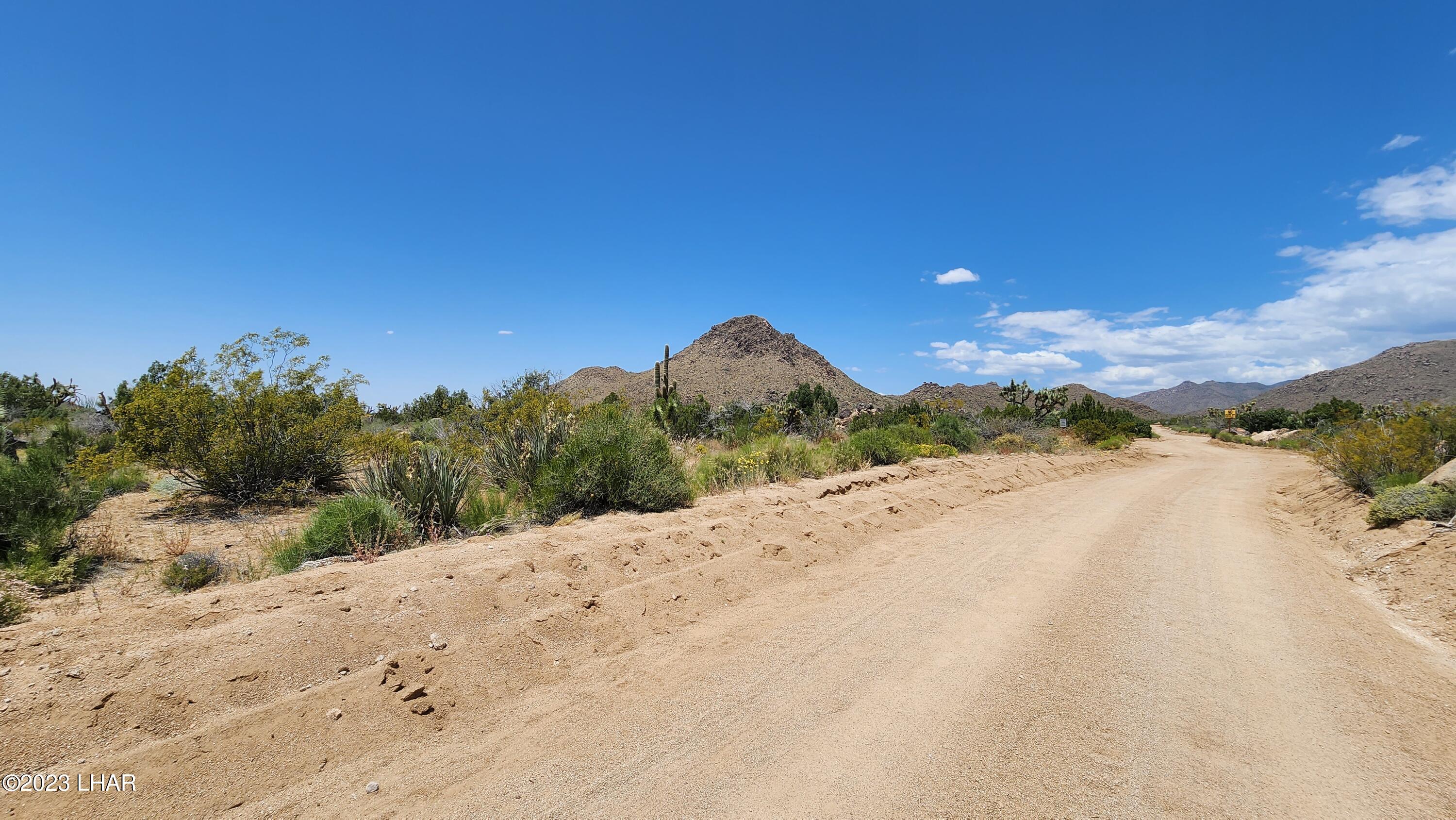101 South Gunsmoke Road Yucca, AZ 86438 - Photo 63 of 67 20230513_124213