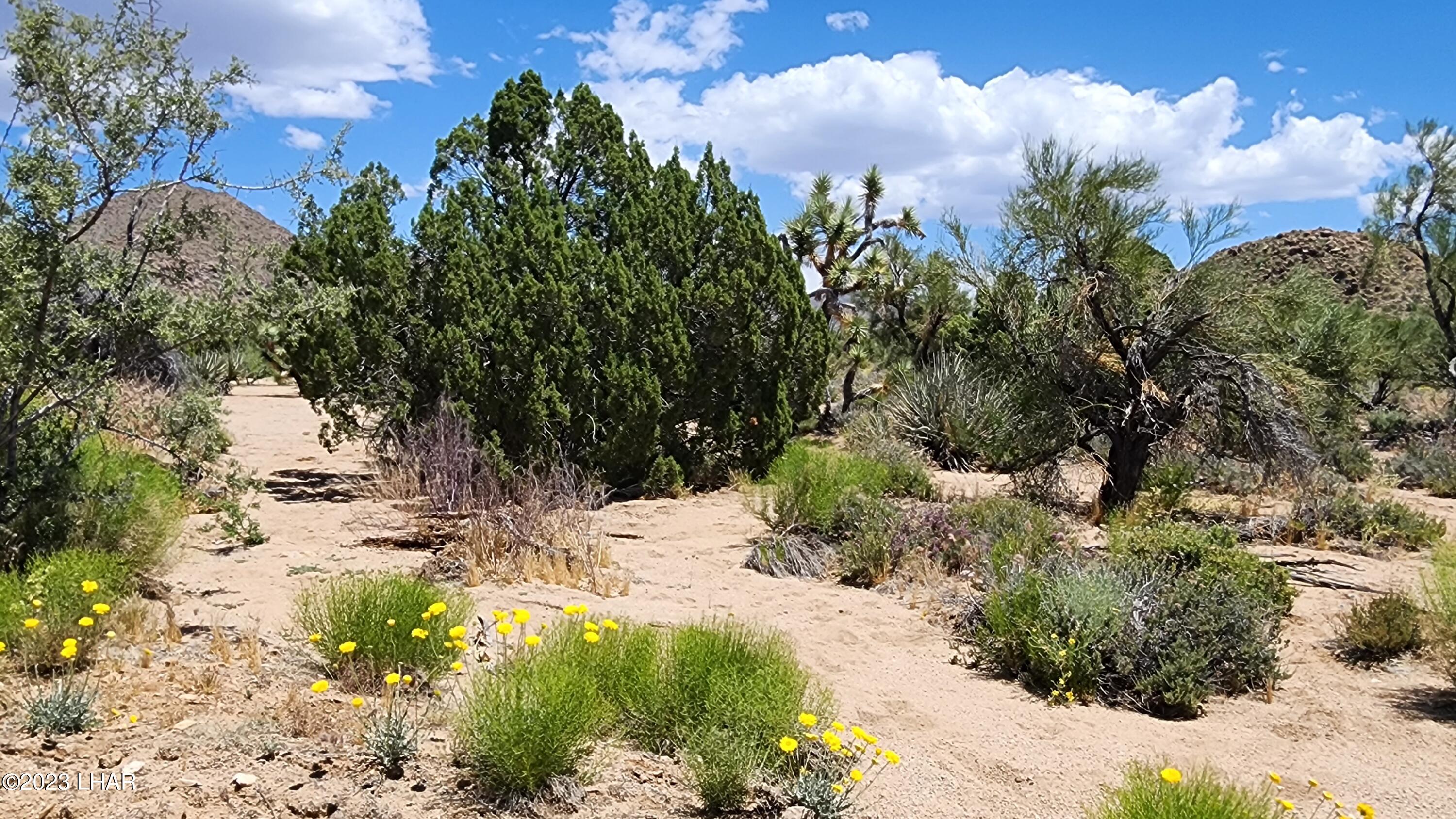 101 South Gunsmoke Road Yucca, AZ 86438 - Photo 65 of 67 20230513_124505
