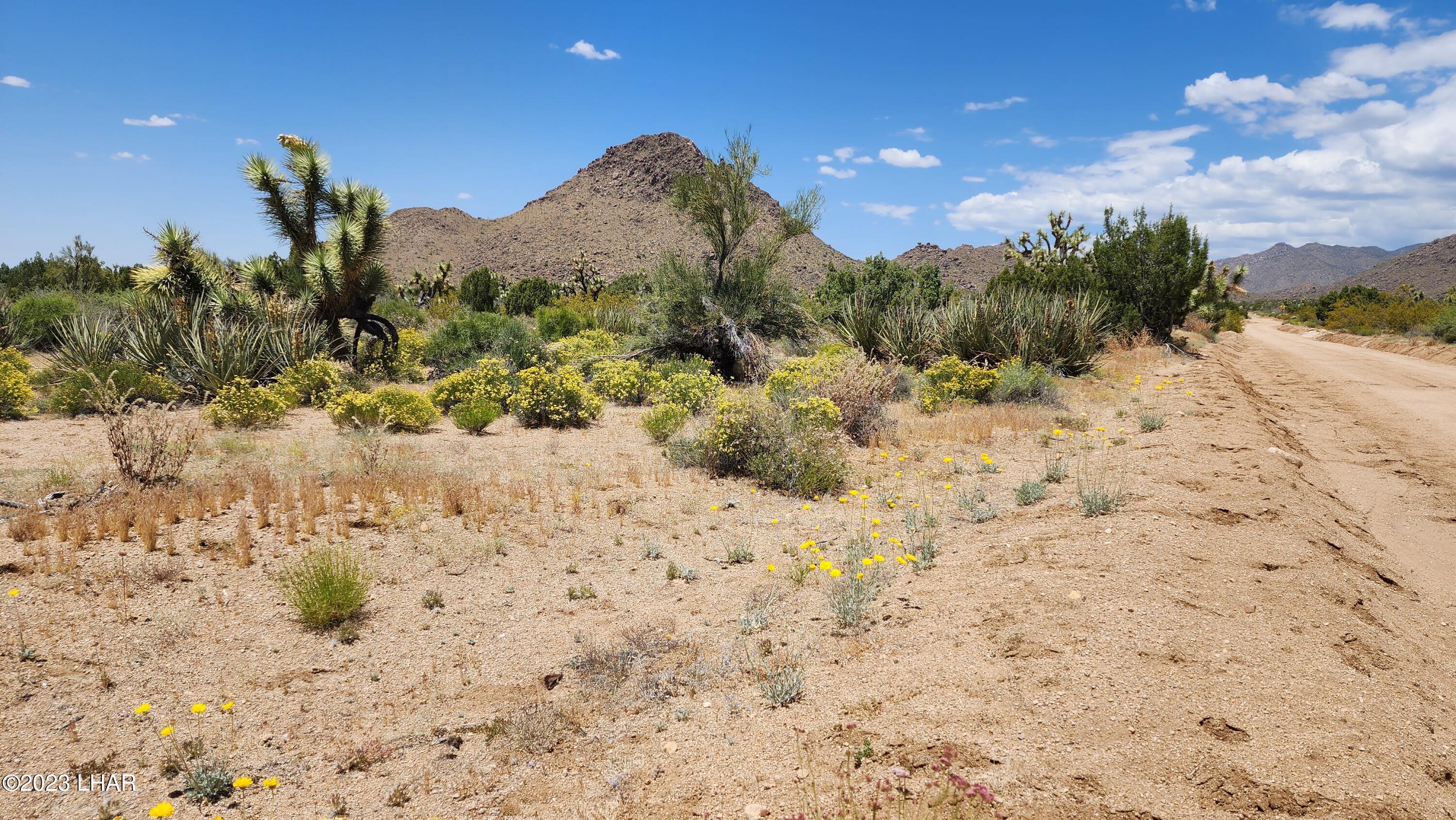 101 South Gunsmoke Road Yucca, AZ 86438 - Photo 66 of 67 20230513_125447